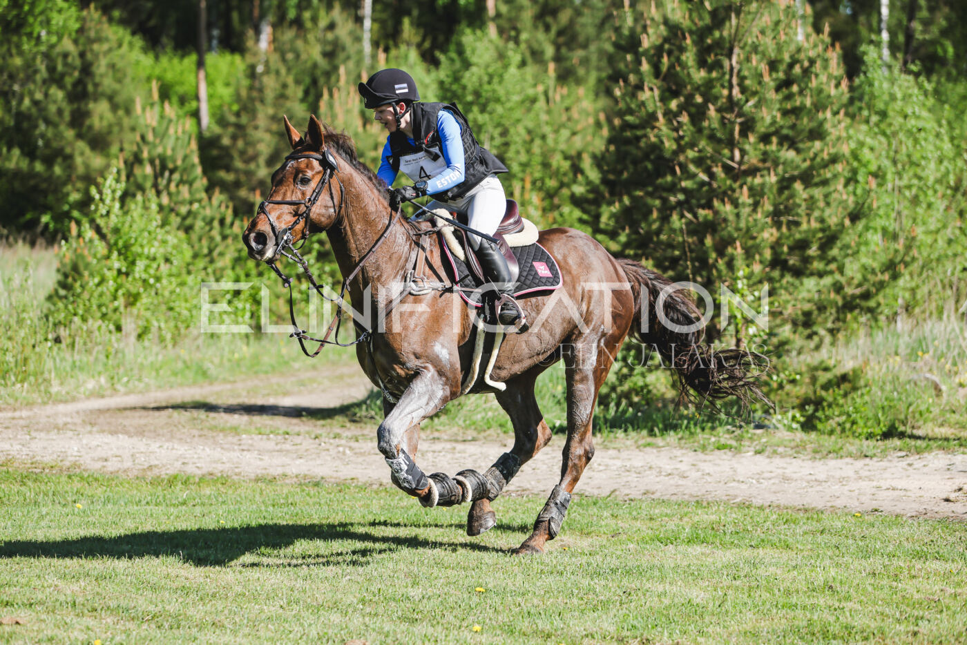 Parnu_CHI_3V_2026_CCI2-S_XC_249