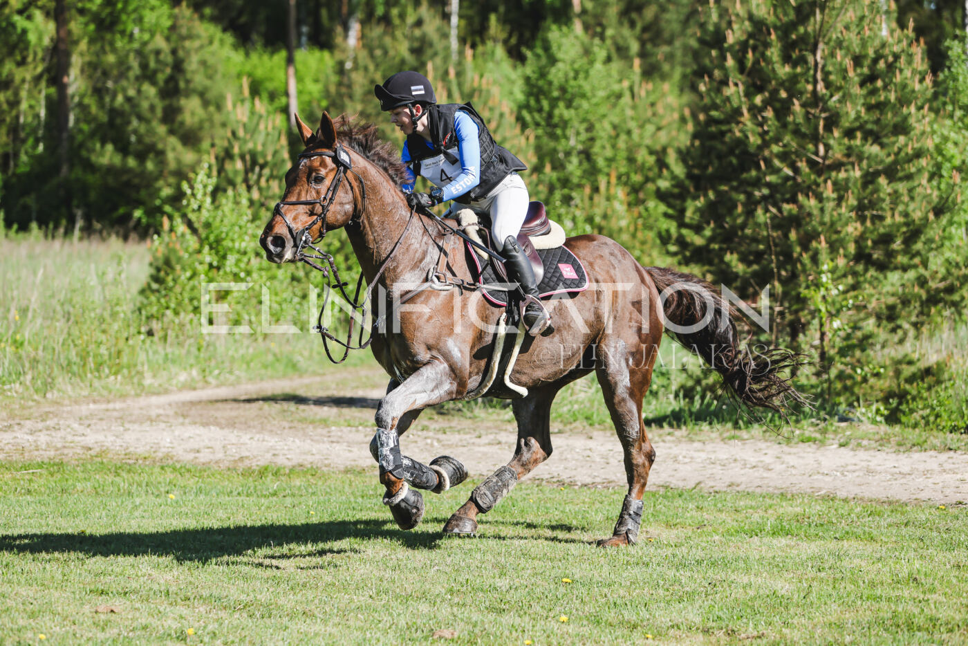 Parnu_CHI_3V_2026_CCI2-S_XC_250