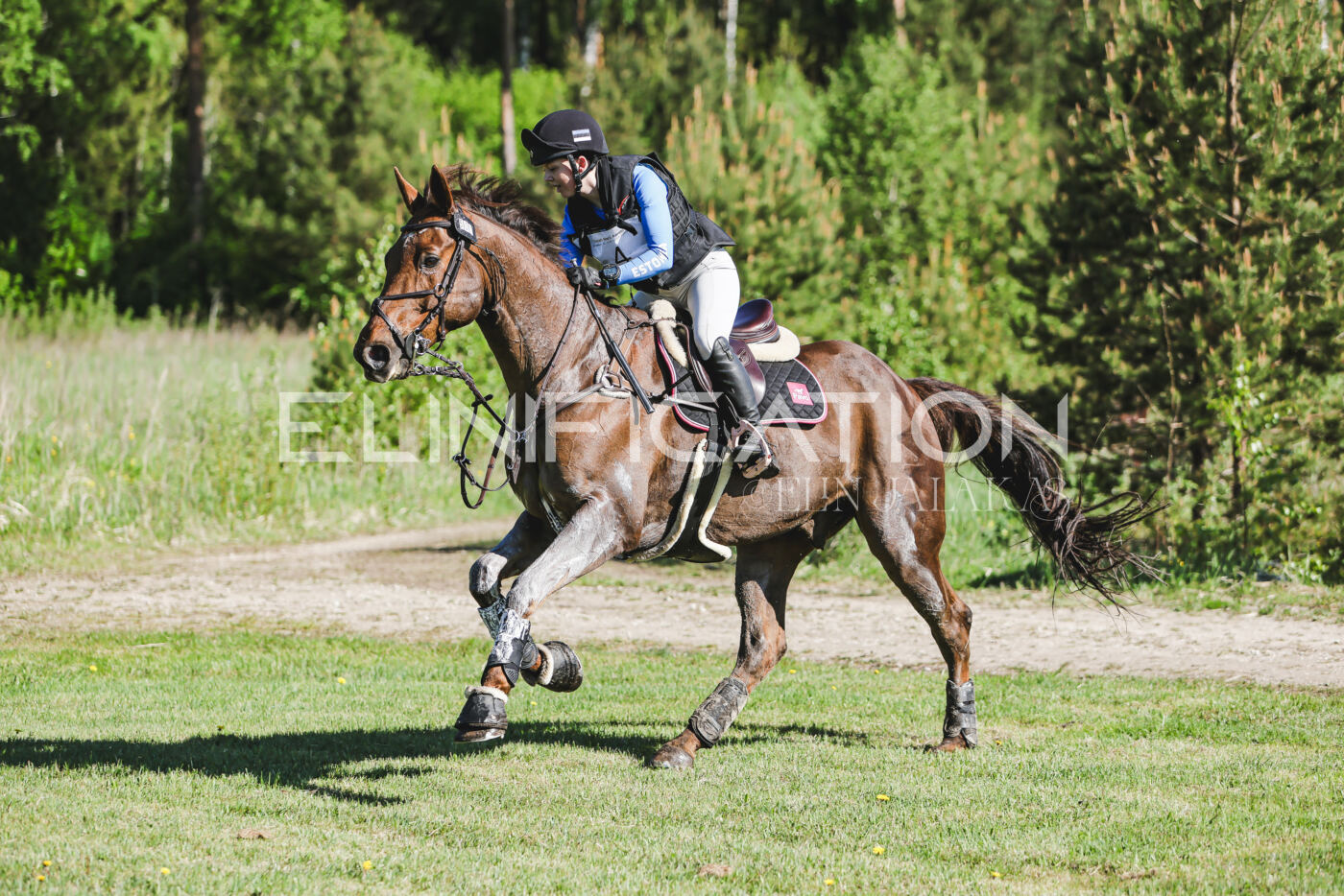 Parnu_CHI_3V_2026_CCI2-S_XC_251