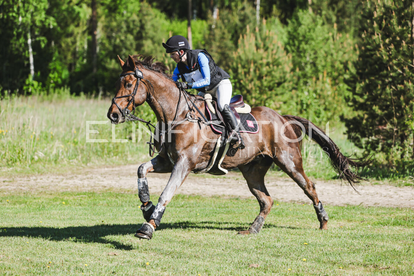 Parnu_CHI_3V_2026_CCI2-S_XC_252