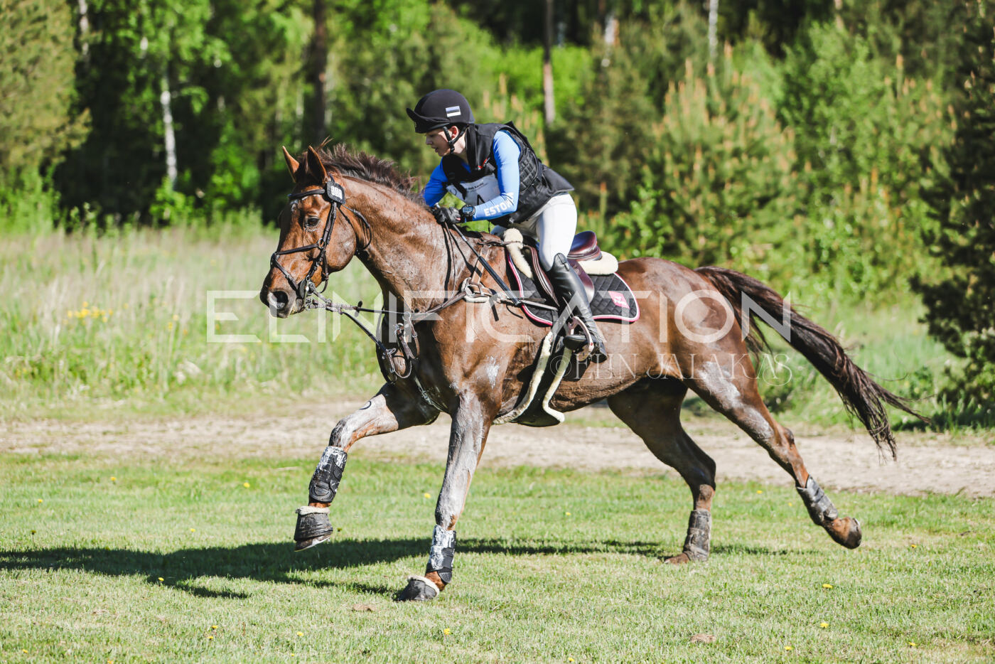 Parnu_CHI_3V_2026_CCI2-S_XC_253