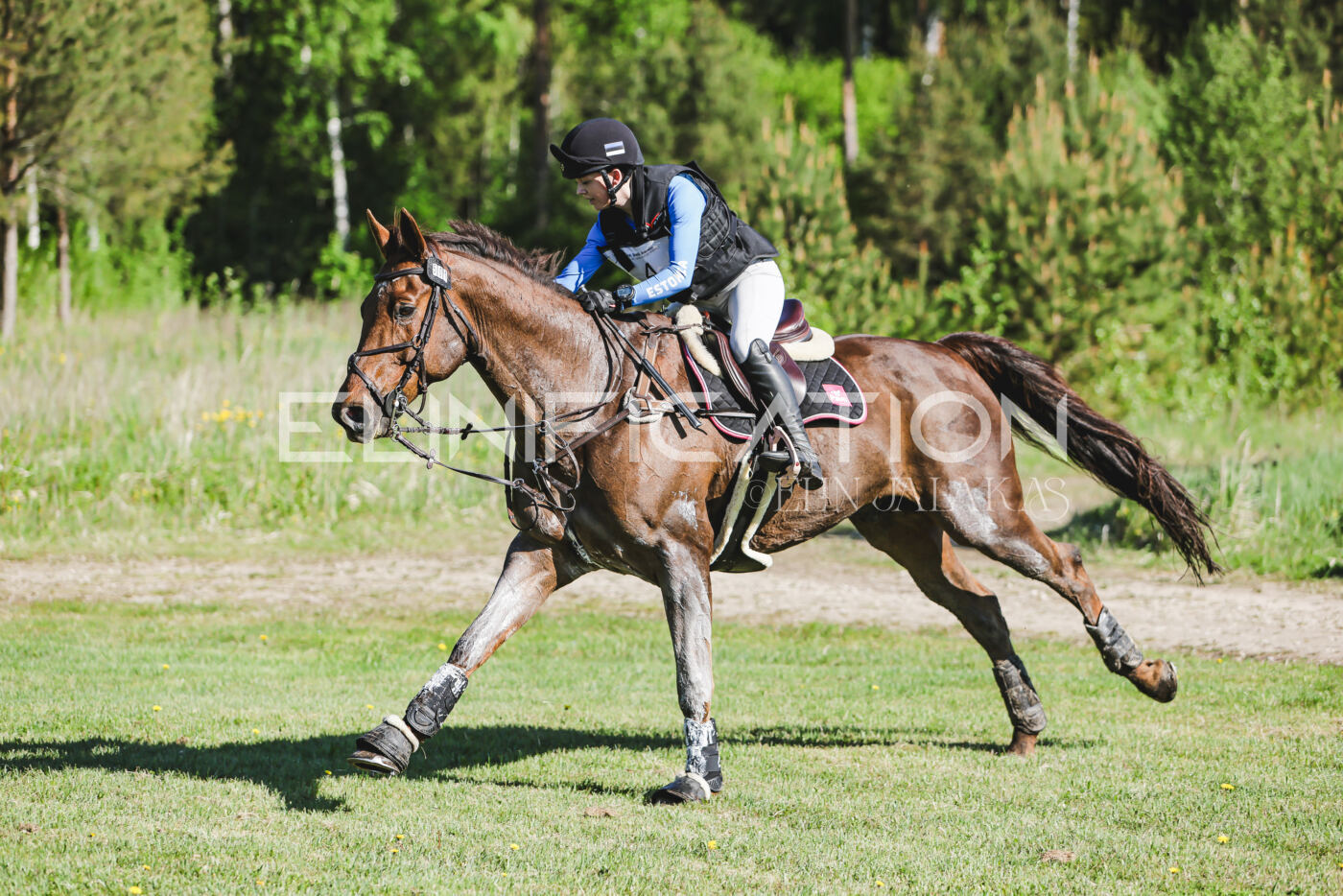 Parnu_CHI_3V_2026_CCI2-S_XC_254