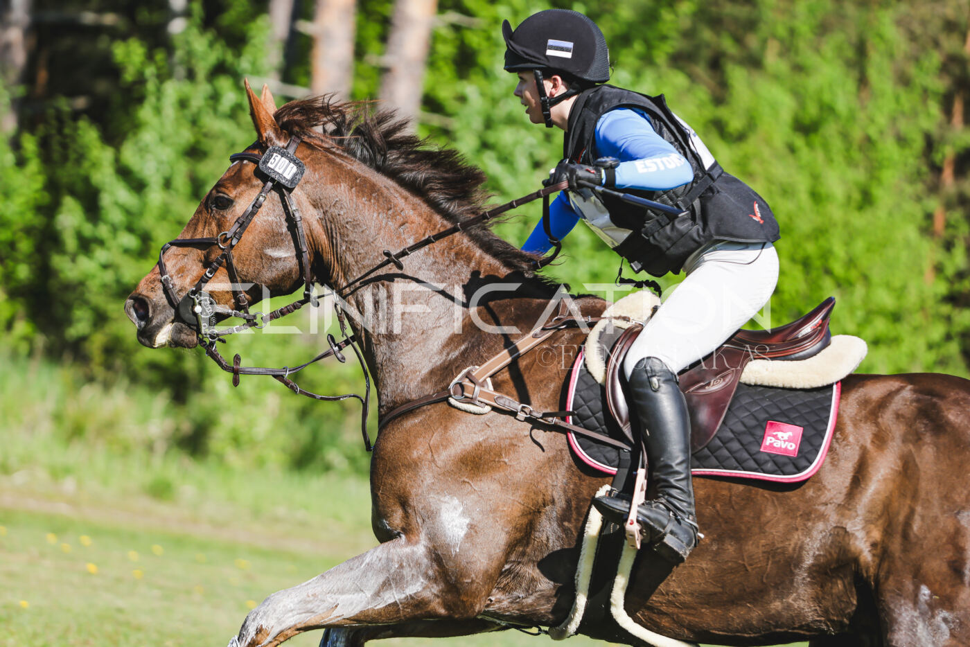 Parnu_CHI_3V_2026_CCI2-S_XC_255