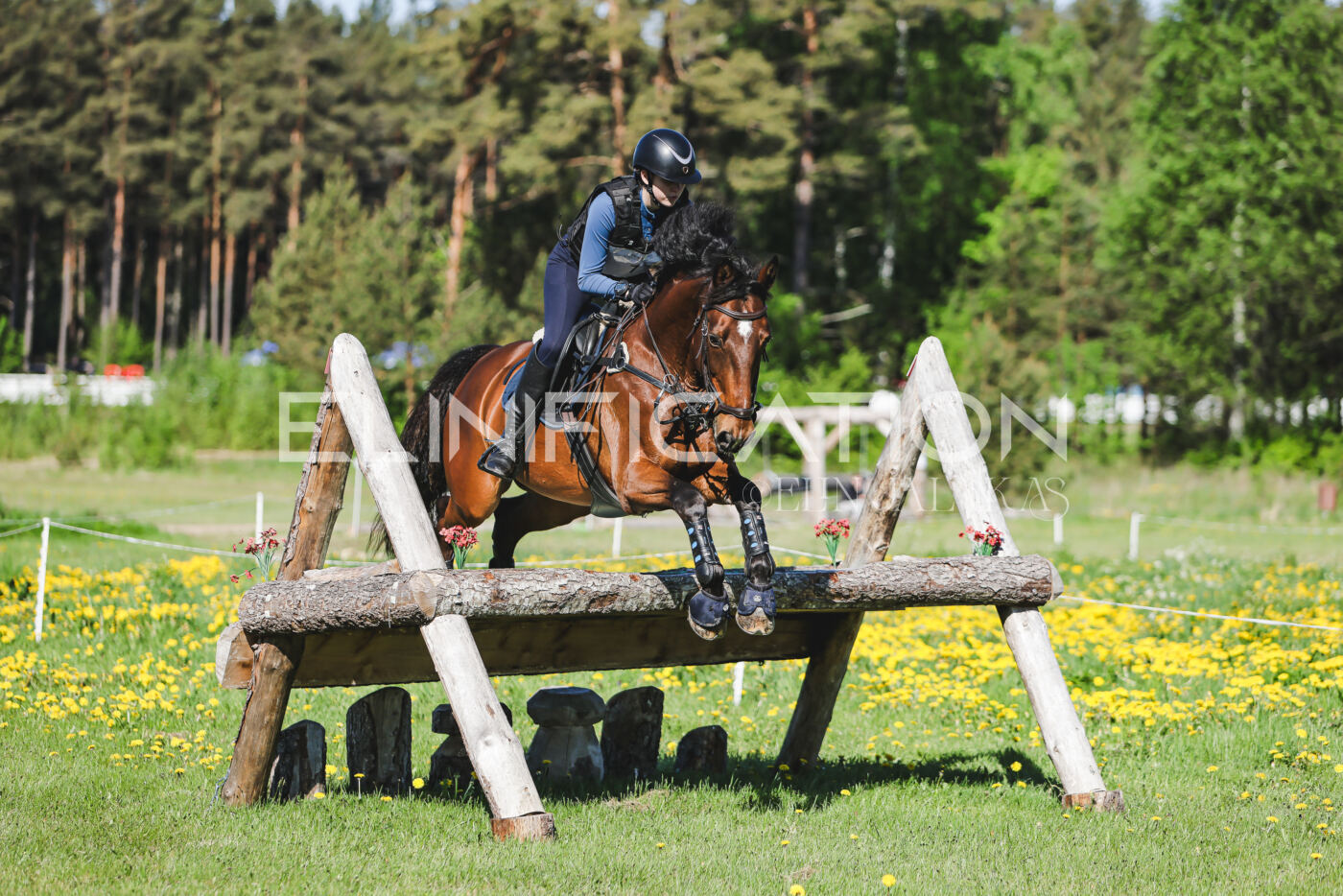 Parnu_CHI_3V_2026_CCN100_XC_005