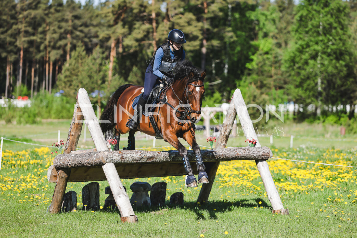 Parnu_CHI_3V_2026_CCN100_XC_006