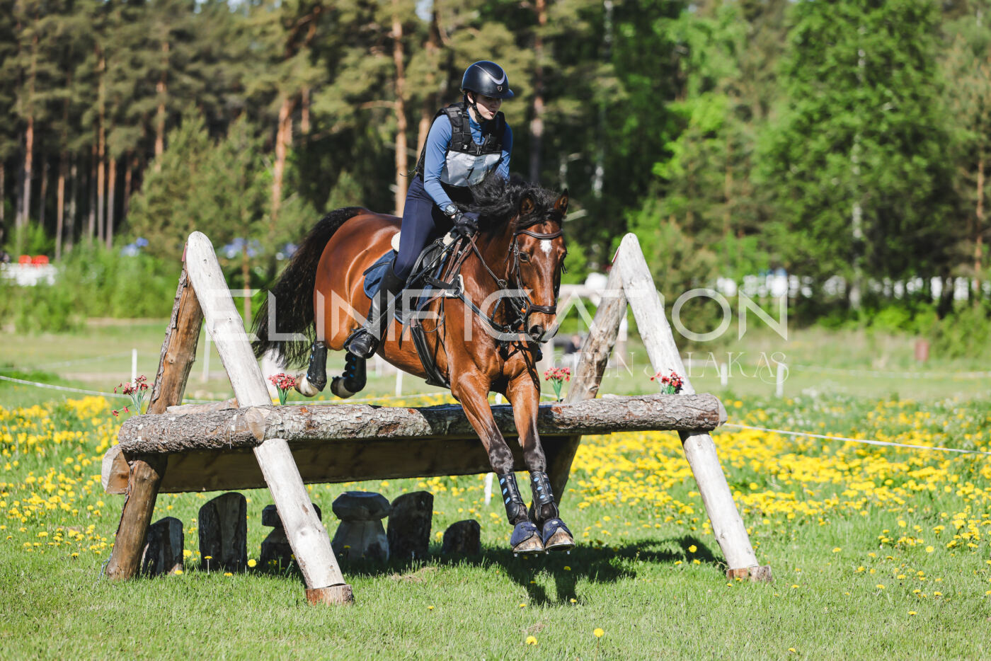 Parnu_CHI_3V_2026_CCN100_XC_007