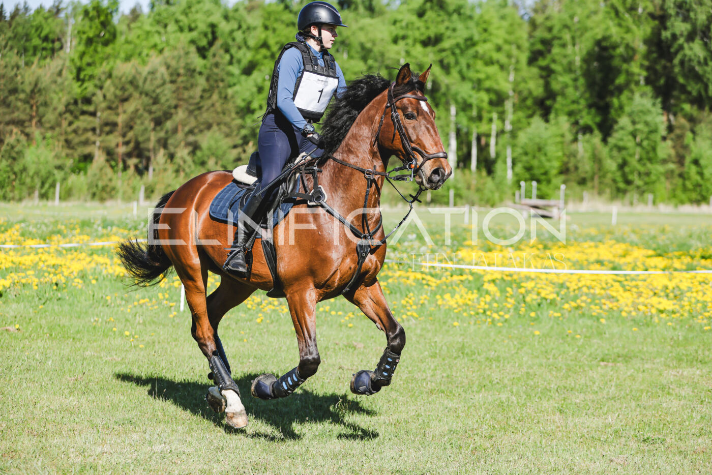 Parnu_CHI_3V_2026_CCN100_XC_008