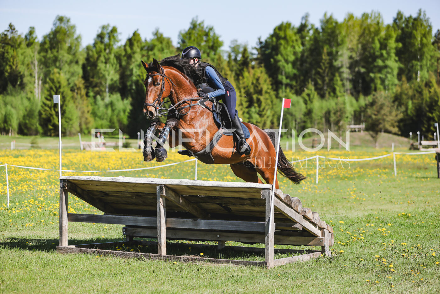 Parnu_CHI_3V_2026_CCN100_XC_011