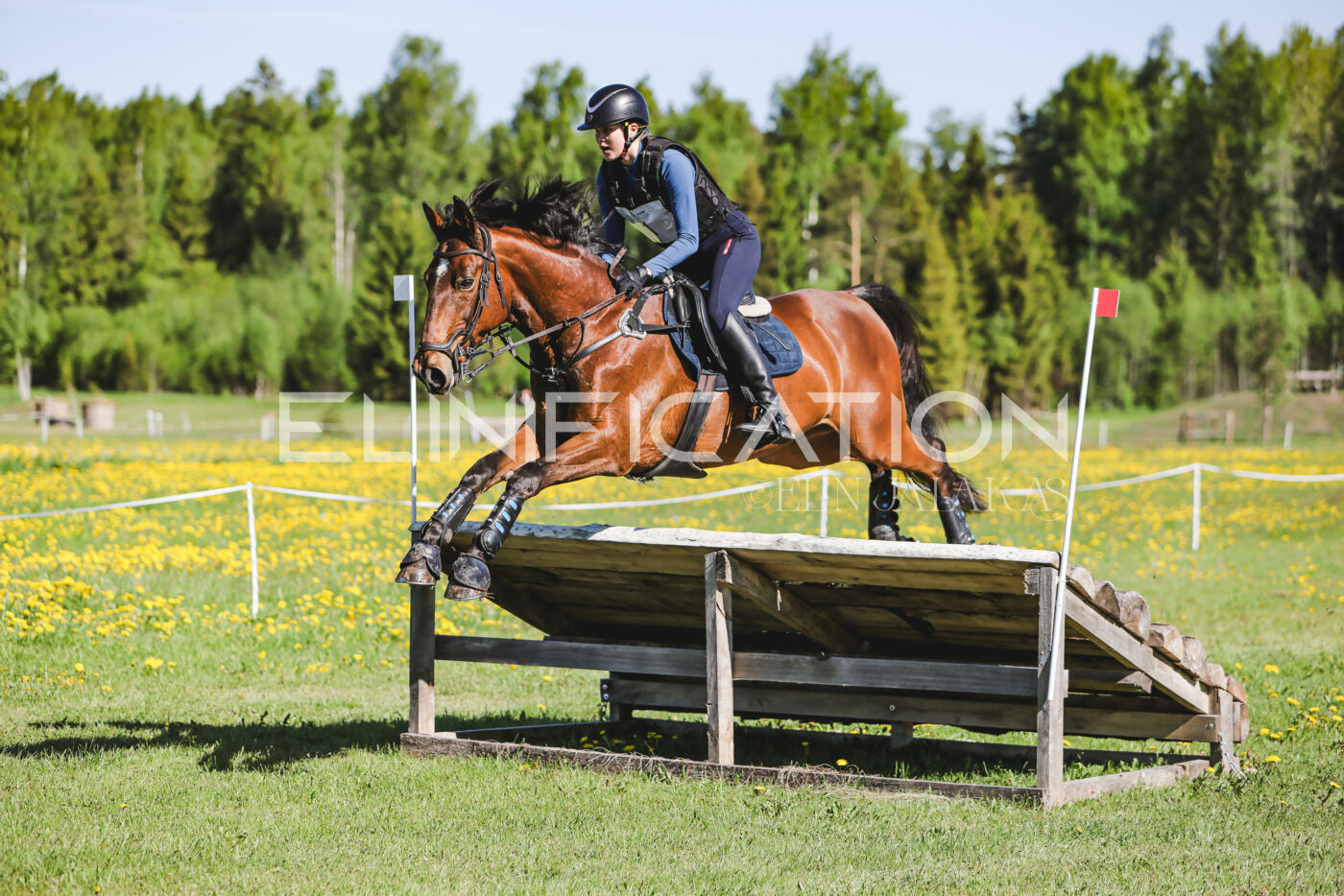 Parnu_CHI_3V_2026_CCN100_XC_014