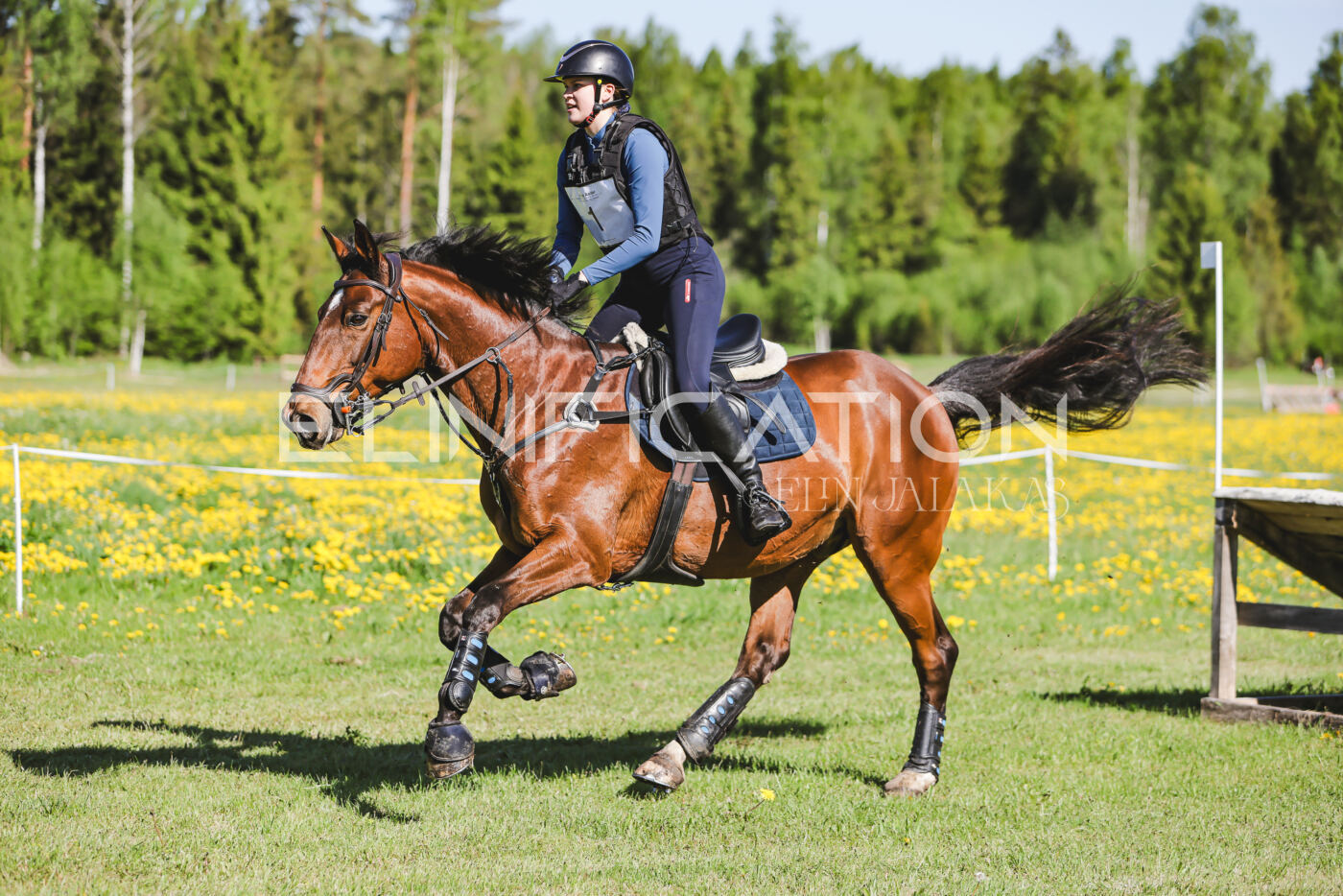 Parnu_CHI_3V_2026_CCN100_XC_017