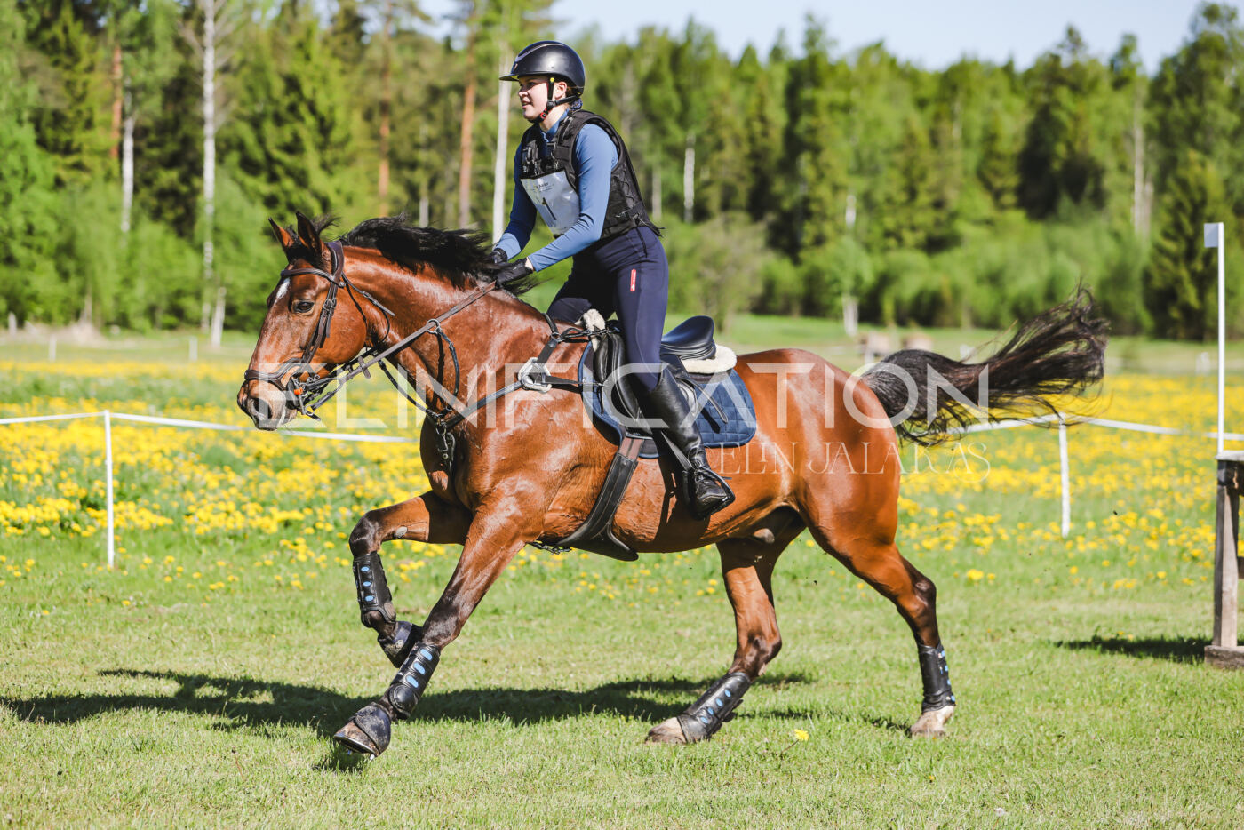 Parnu_CHI_3V_2026_CCN100_XC_018