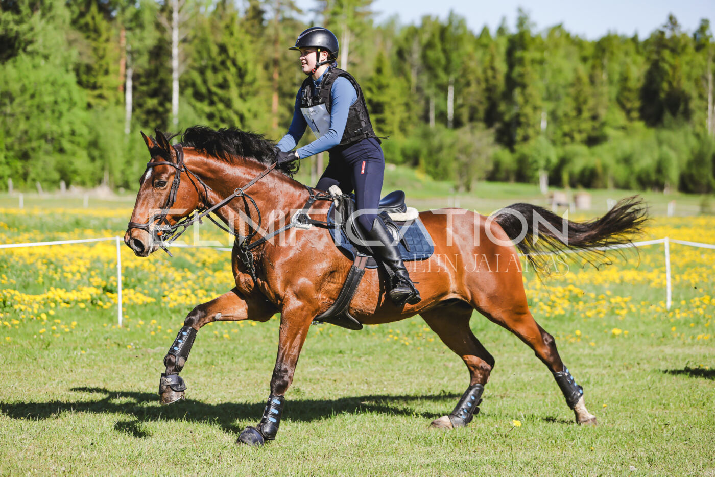 Parnu_CHI_3V_2026_CCN100_XC_019