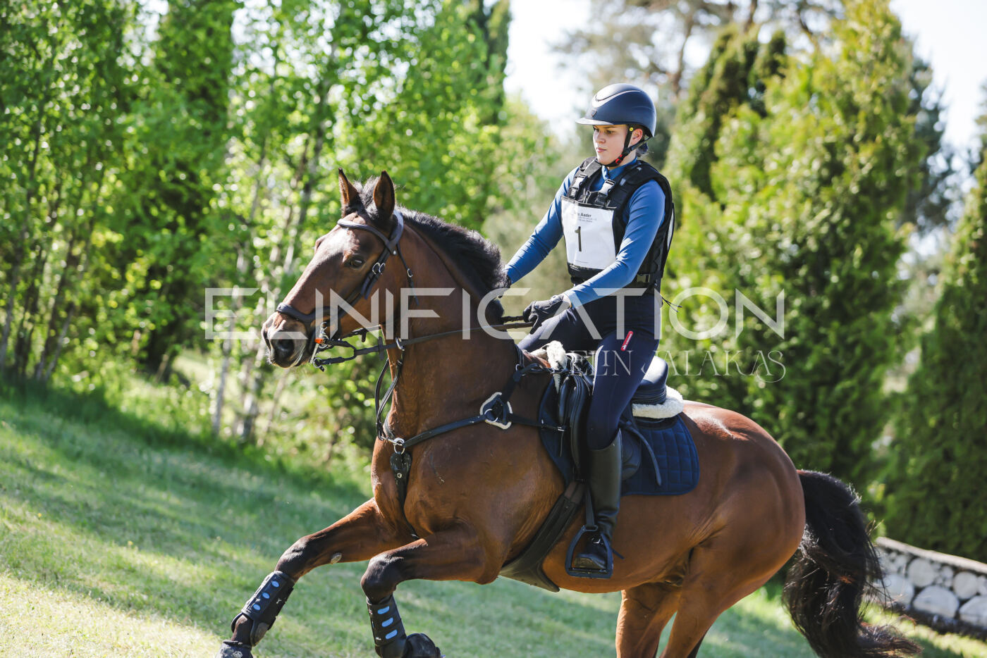 Parnu_CHI_3V_2026_CCN100_XC_029