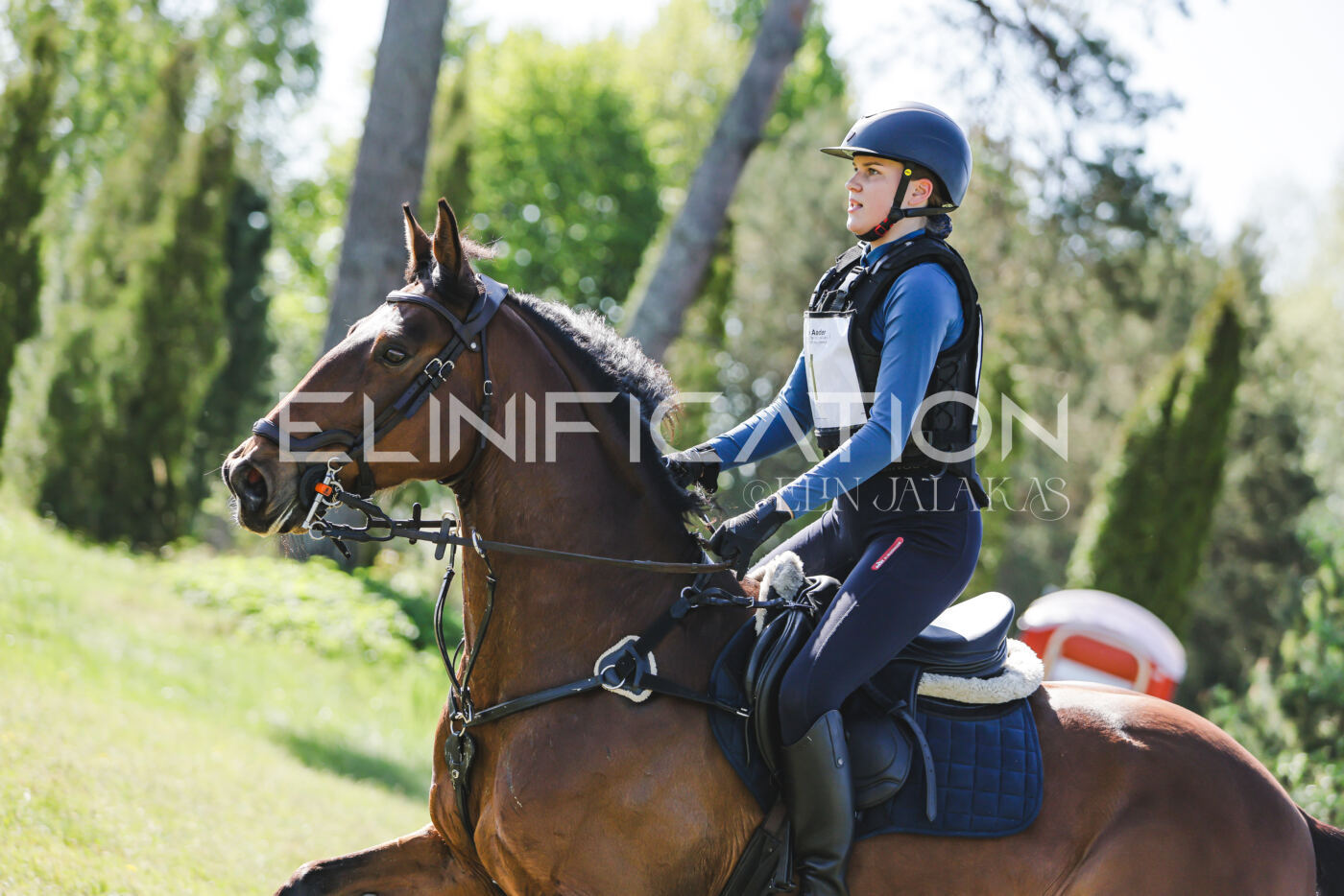 Parnu_CHI_3V_2026_CCN100_XC_030