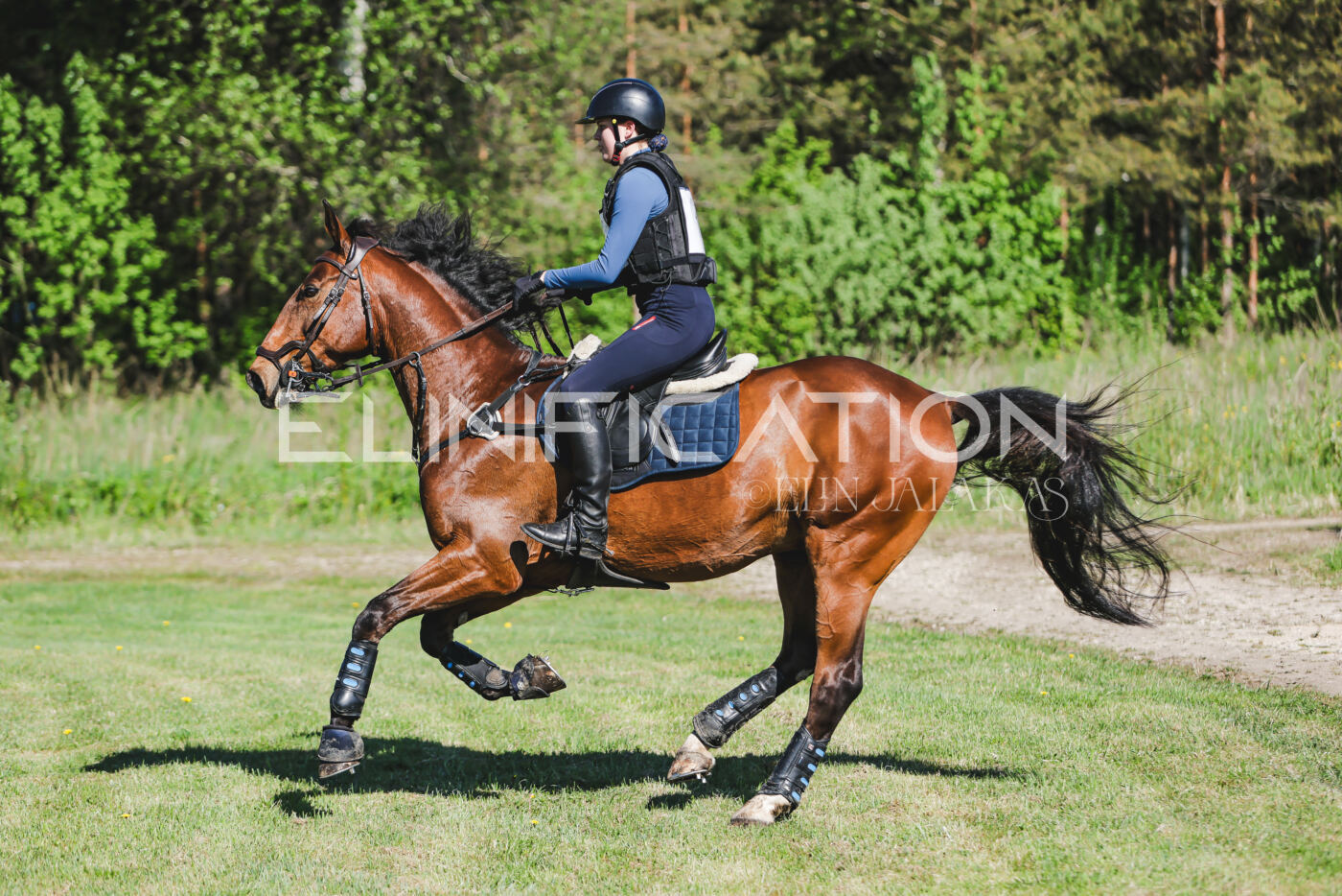 Parnu_CHI_3V_2026_CCN100_XC_045