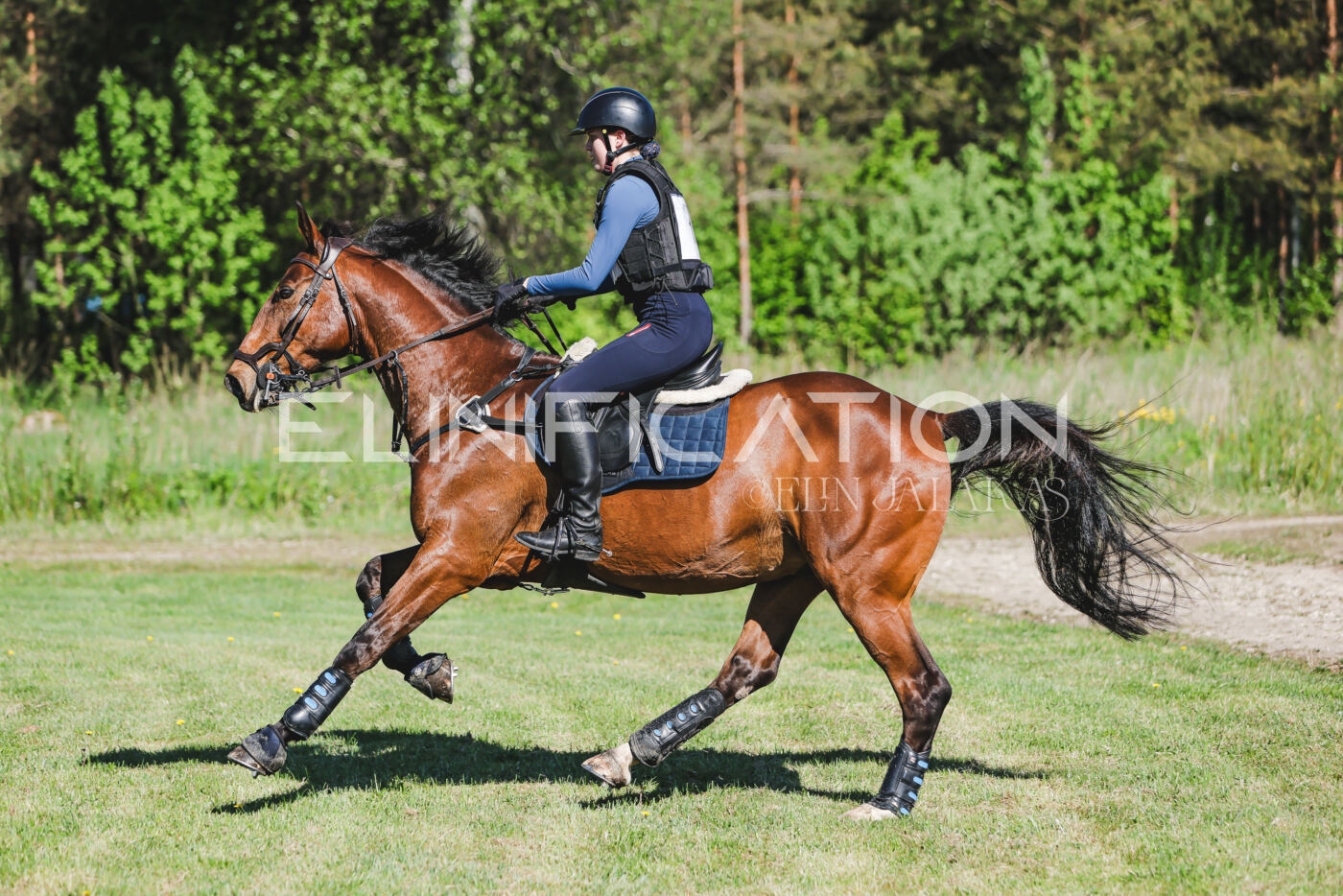 Parnu_CHI_3V_2026_CCN100_XC_046