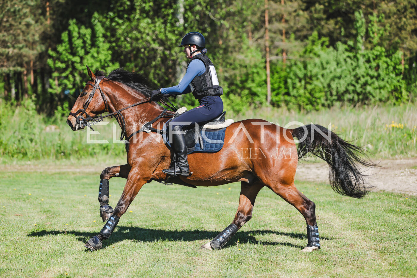 Parnu_CHI_3V_2026_CCN100_XC_047