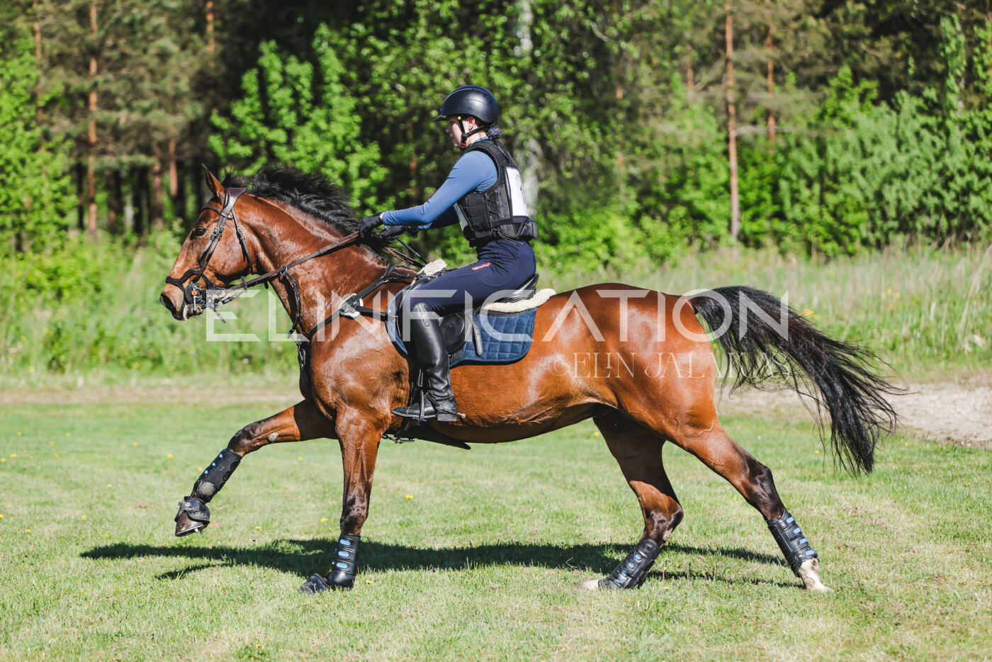 Parnu_CHI_3V_2026_CCN100_XC_048