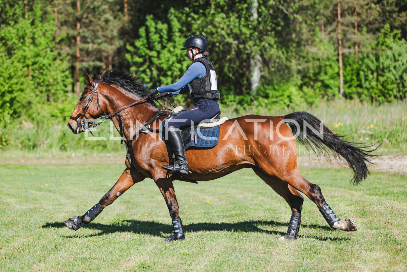 Parnu_CHI_3V_2026_CCN100_XC_049