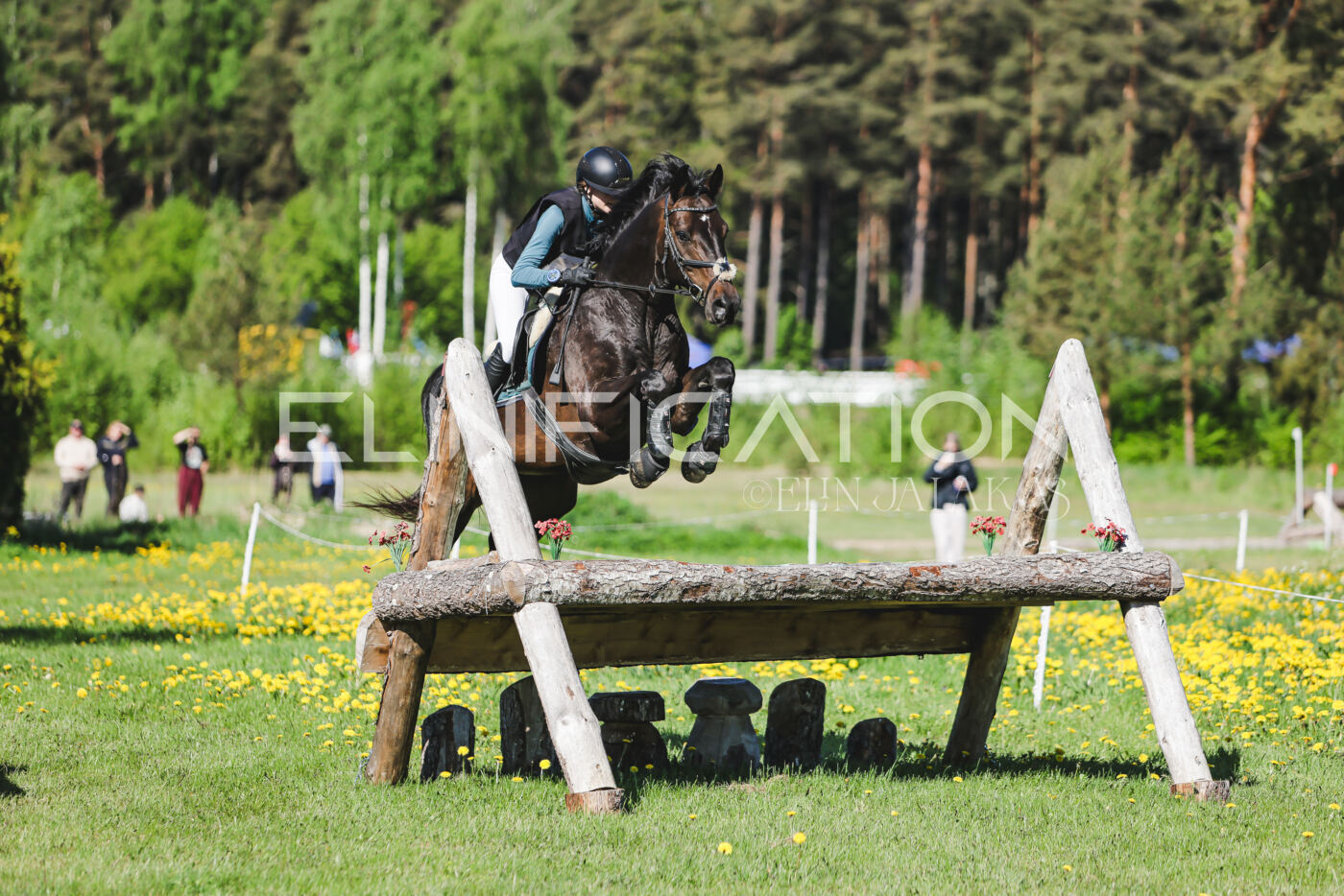 Parnu_CHI_3V_2026_CCN100_XC_051