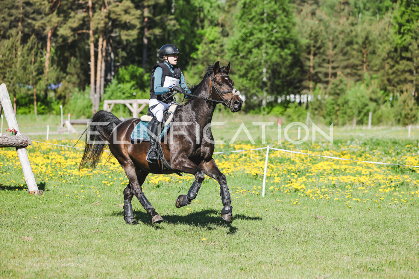 Parnu_CHI_3V_2026_CCN100_XC_059