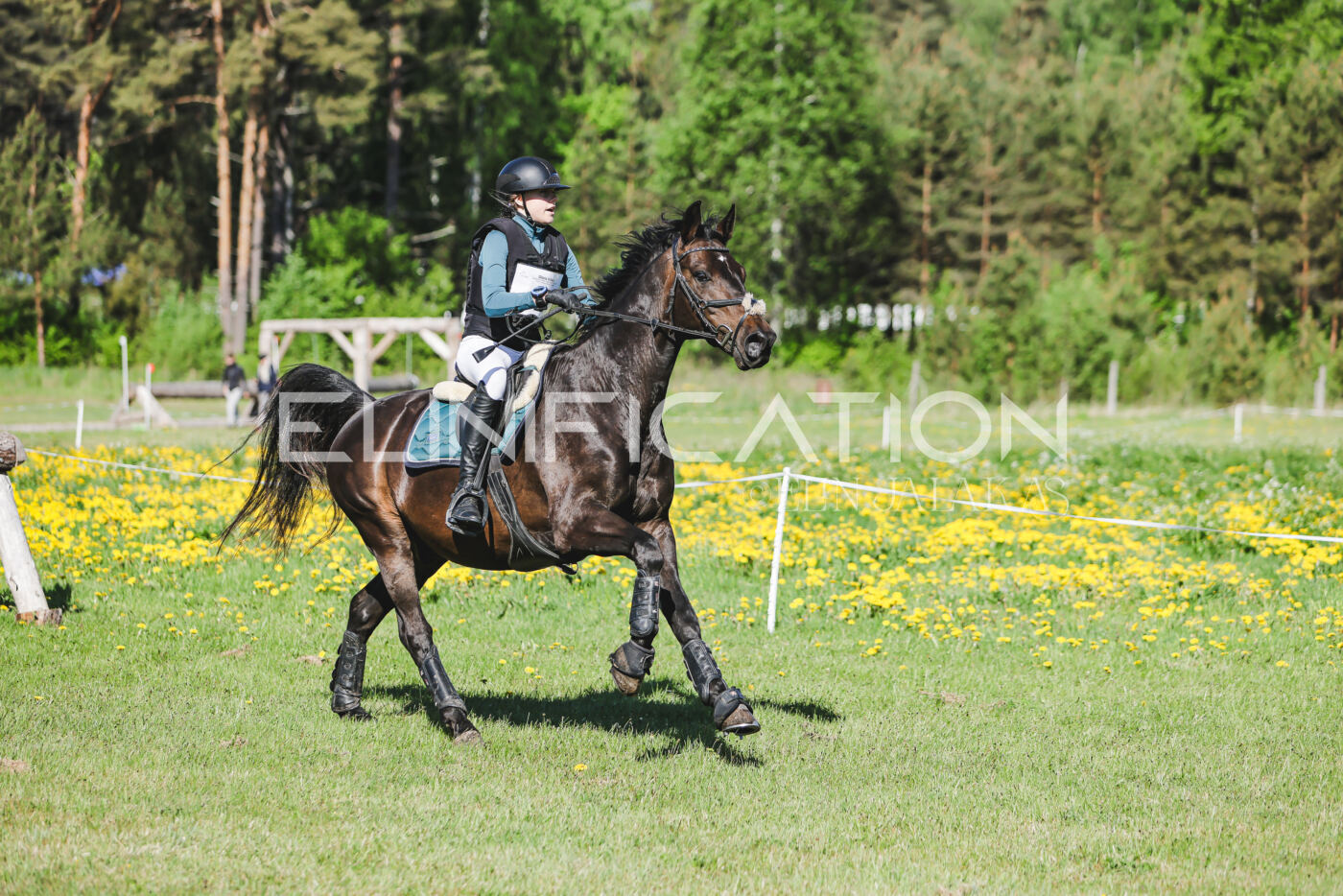 Parnu_CHI_3V_2026_CCN100_XC_060
