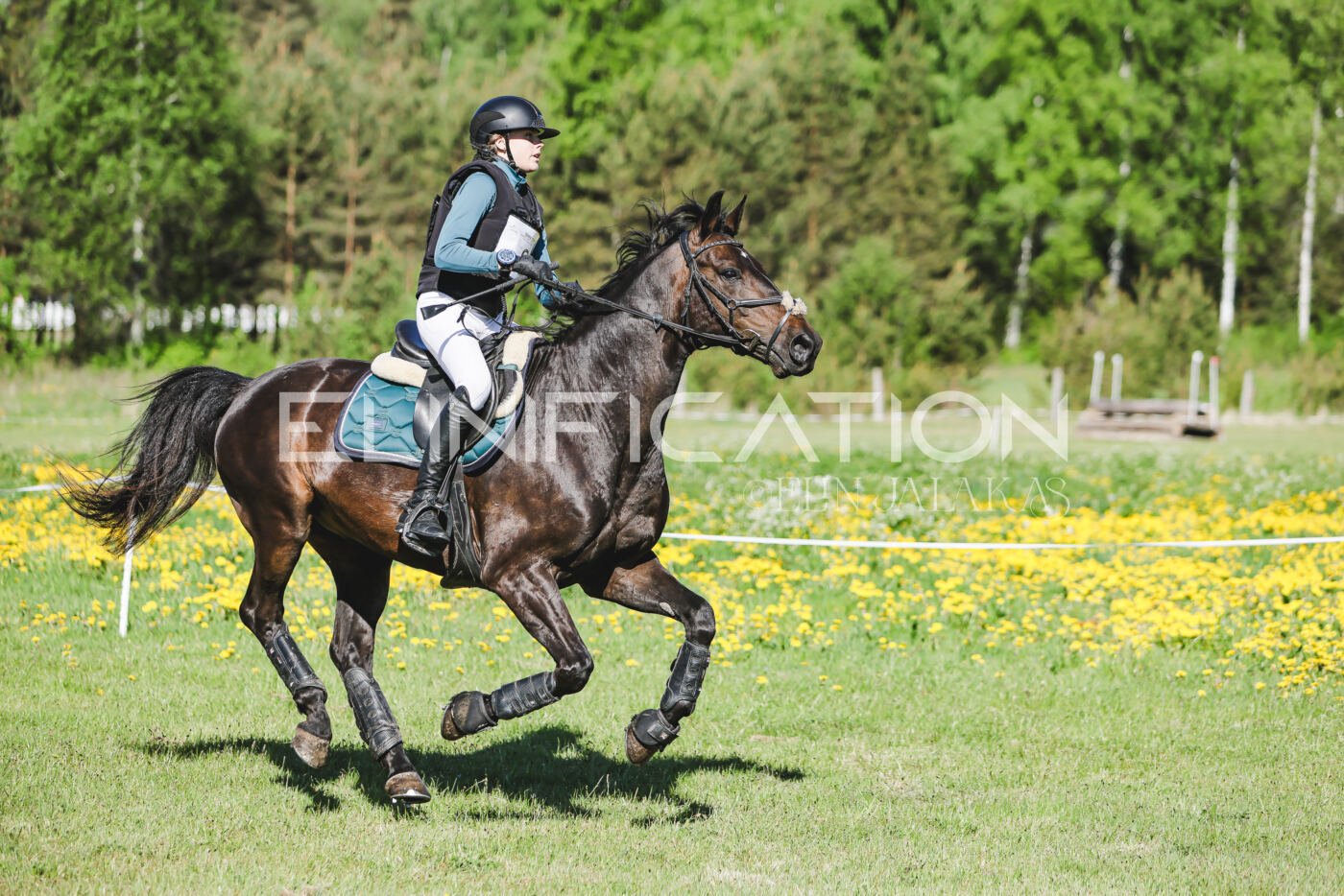 Parnu_CHI_3V_2026_CCN100_XC_061
