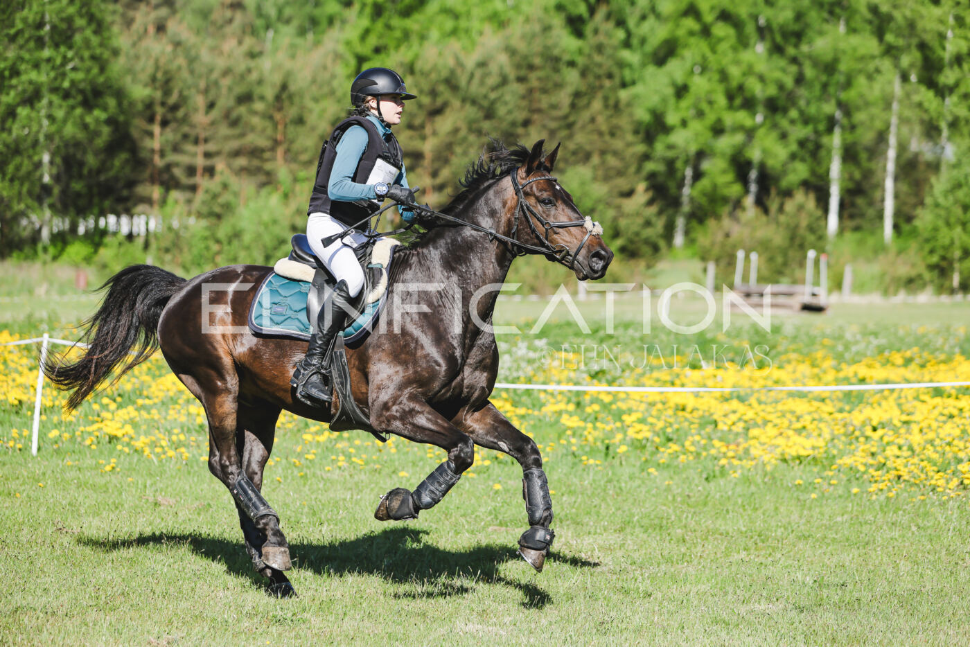 Parnu_CHI_3V_2026_CCN100_XC_062