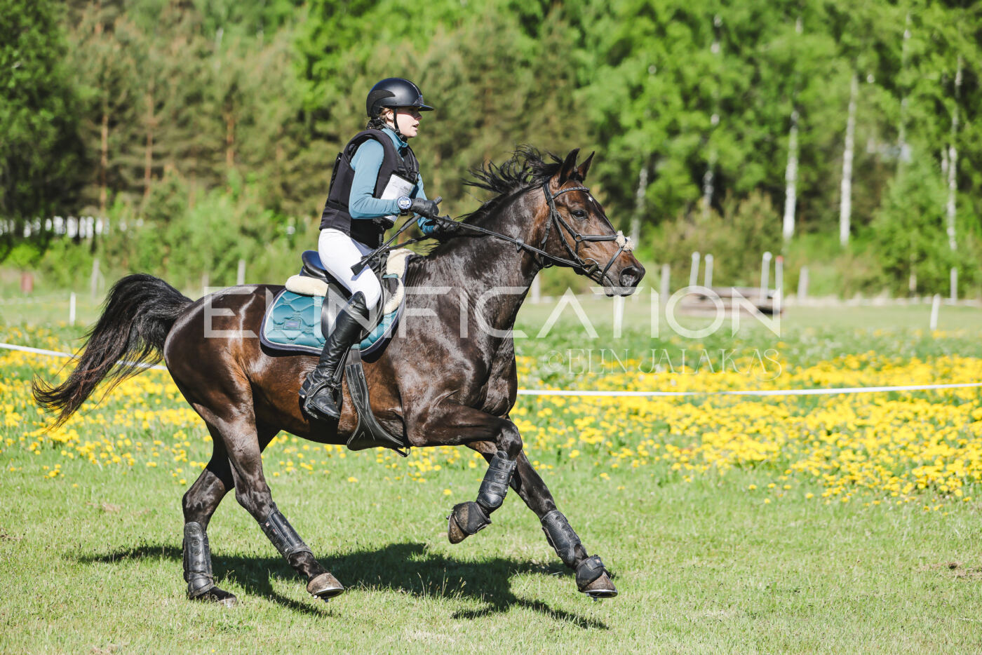 Parnu_CHI_3V_2026_CCN100_XC_063