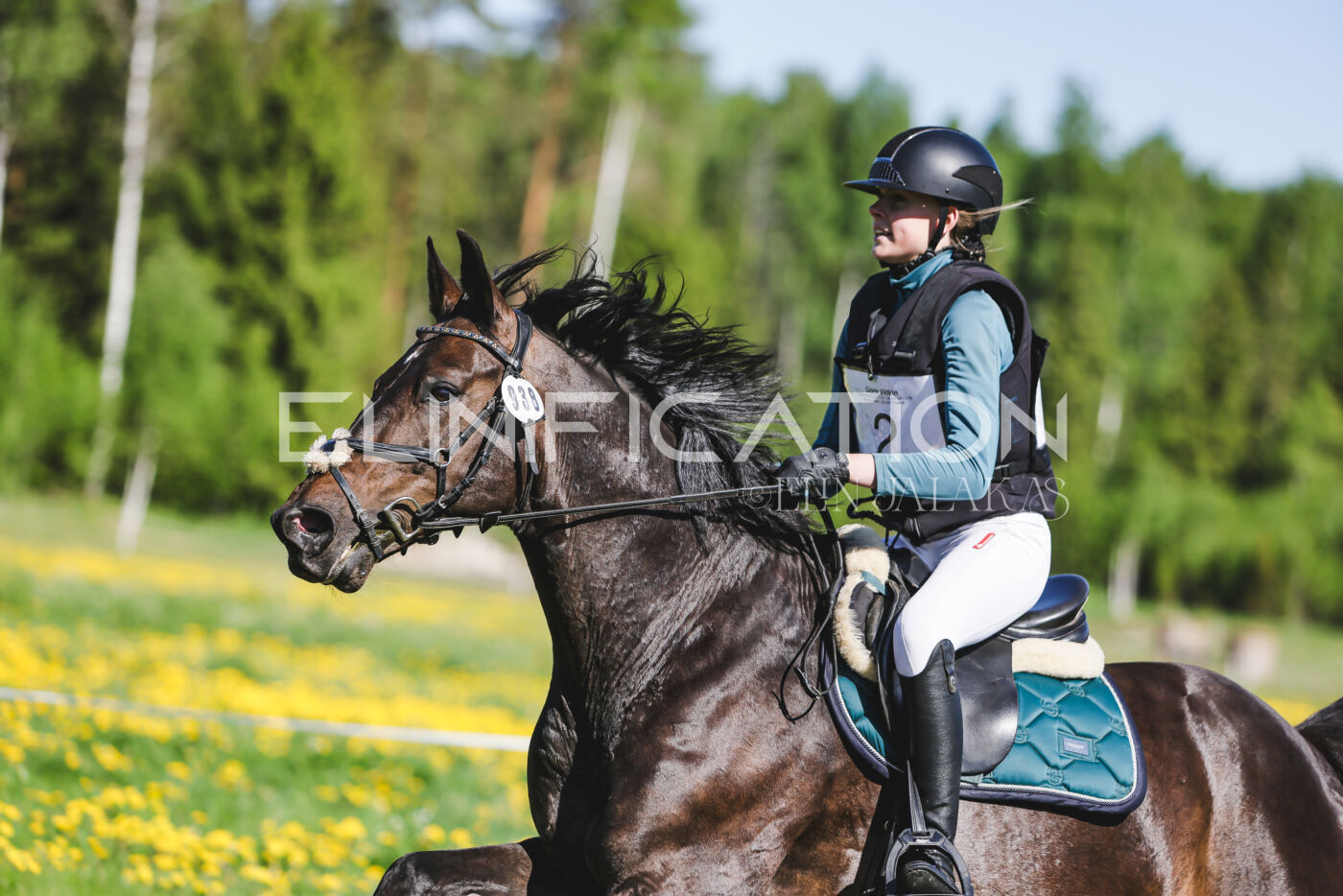 Parnu_CHI_3V_2026_CCN100_XC_072