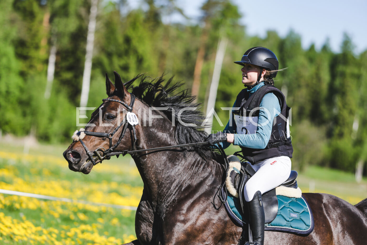 Parnu_CHI_3V_2026_CCN100_XC_073