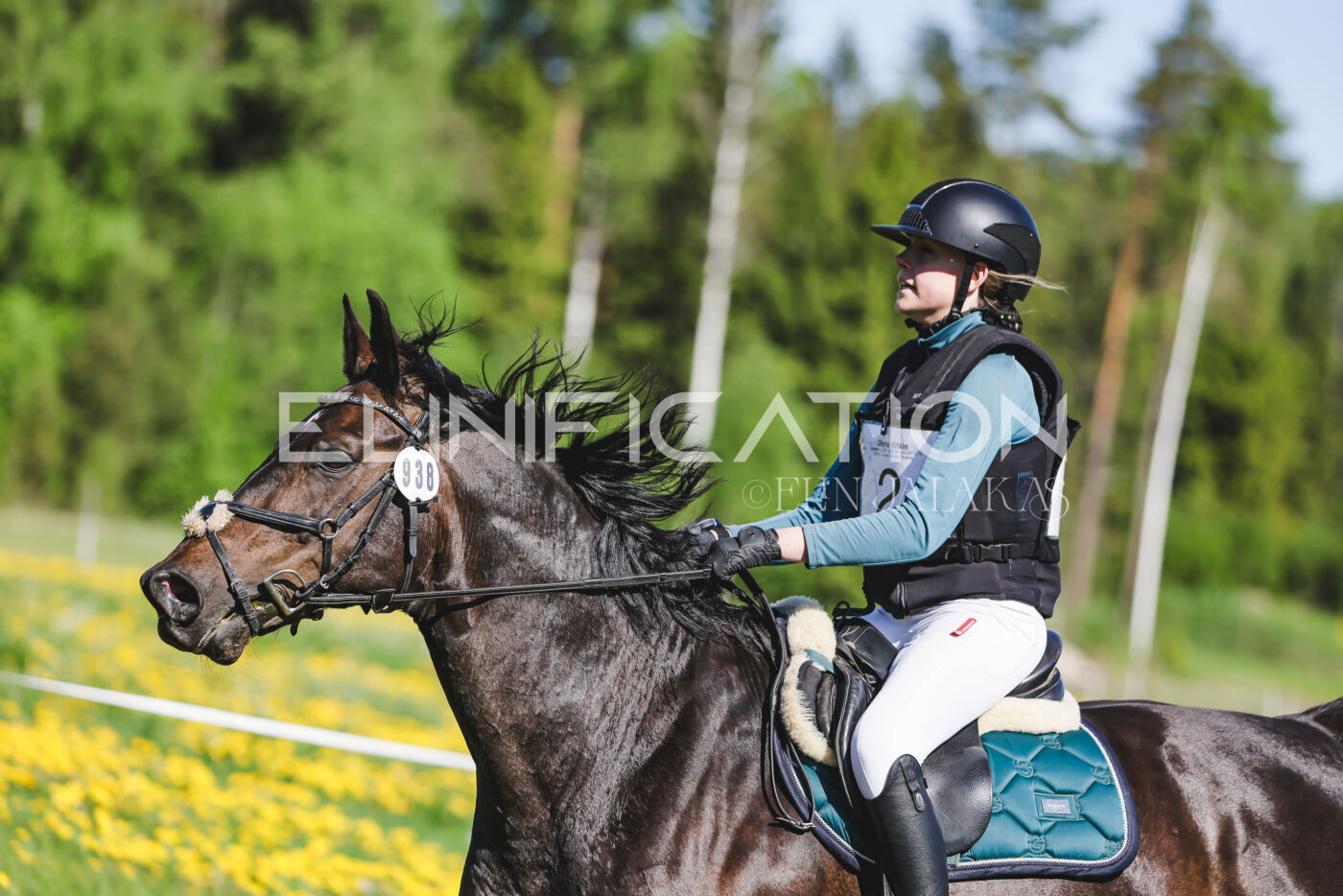 Parnu_CHI_3V_2026_CCN100_XC_074