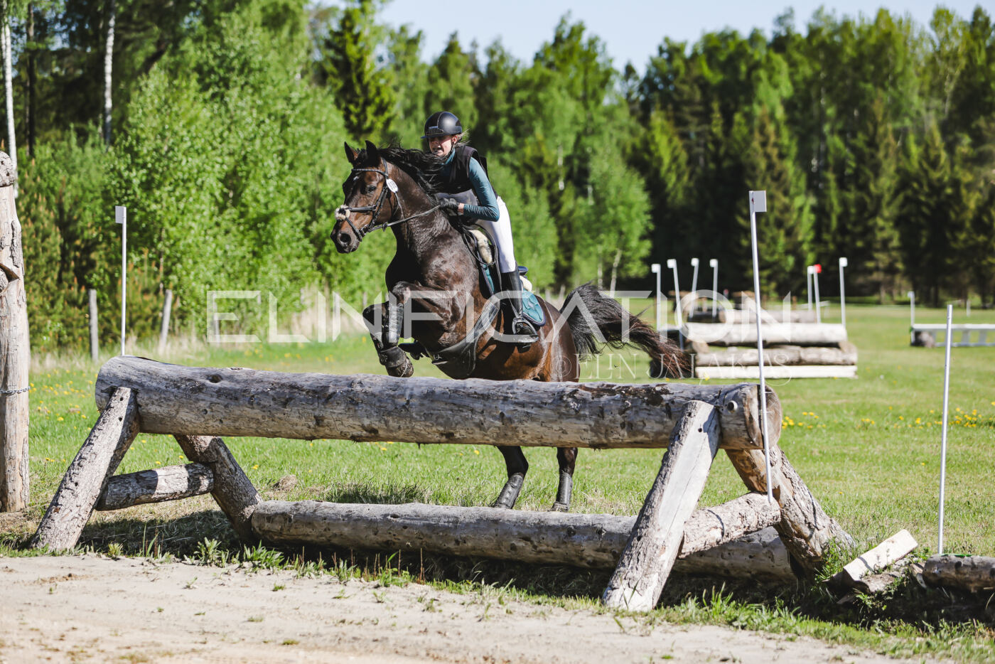 Parnu_CHI_3V_2026_CCN100_XC_083