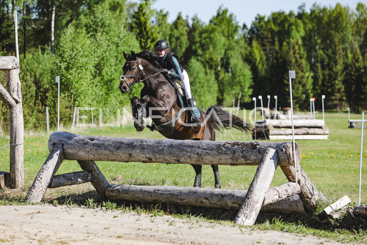 Parnu_CHI_3V_2026_CCN100_XC_084