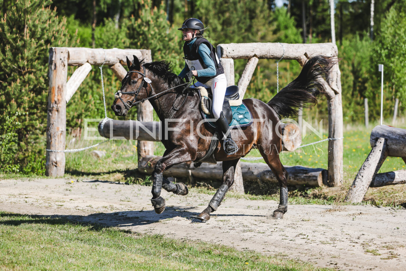 Parnu_CHI_3V_2026_CCN100_XC_094