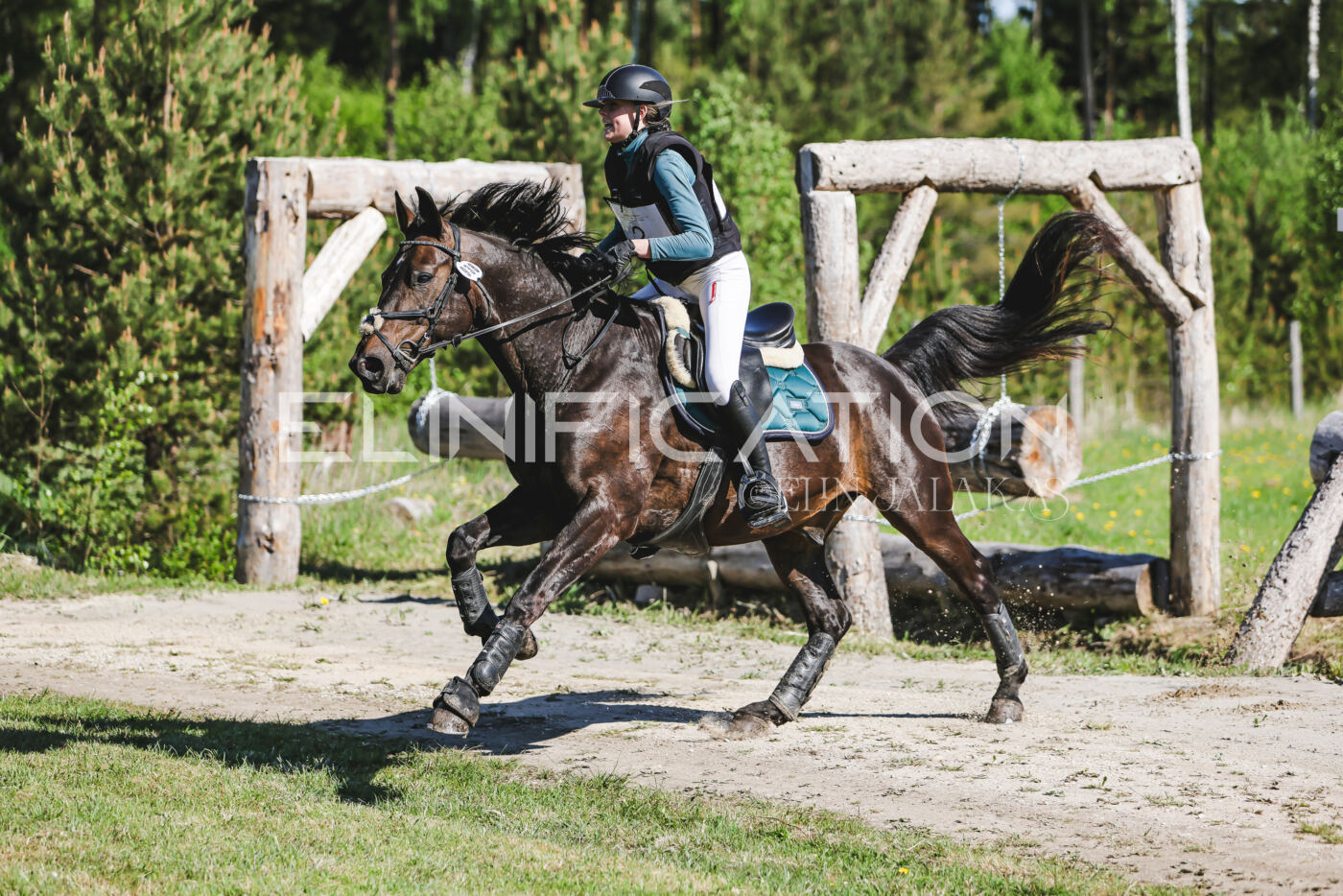 Parnu_CHI_3V_2026_CCN100_XC_095
