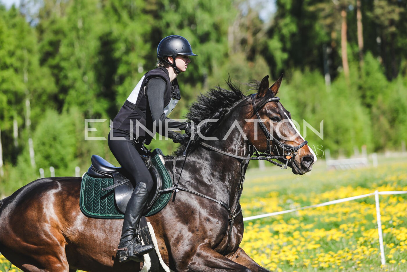 Parnu_CHI_3V_2026_CCN100_XC_106