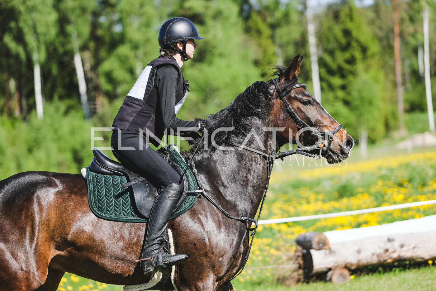 Parnu_CHI_3V_2026_CCN100_XC_108