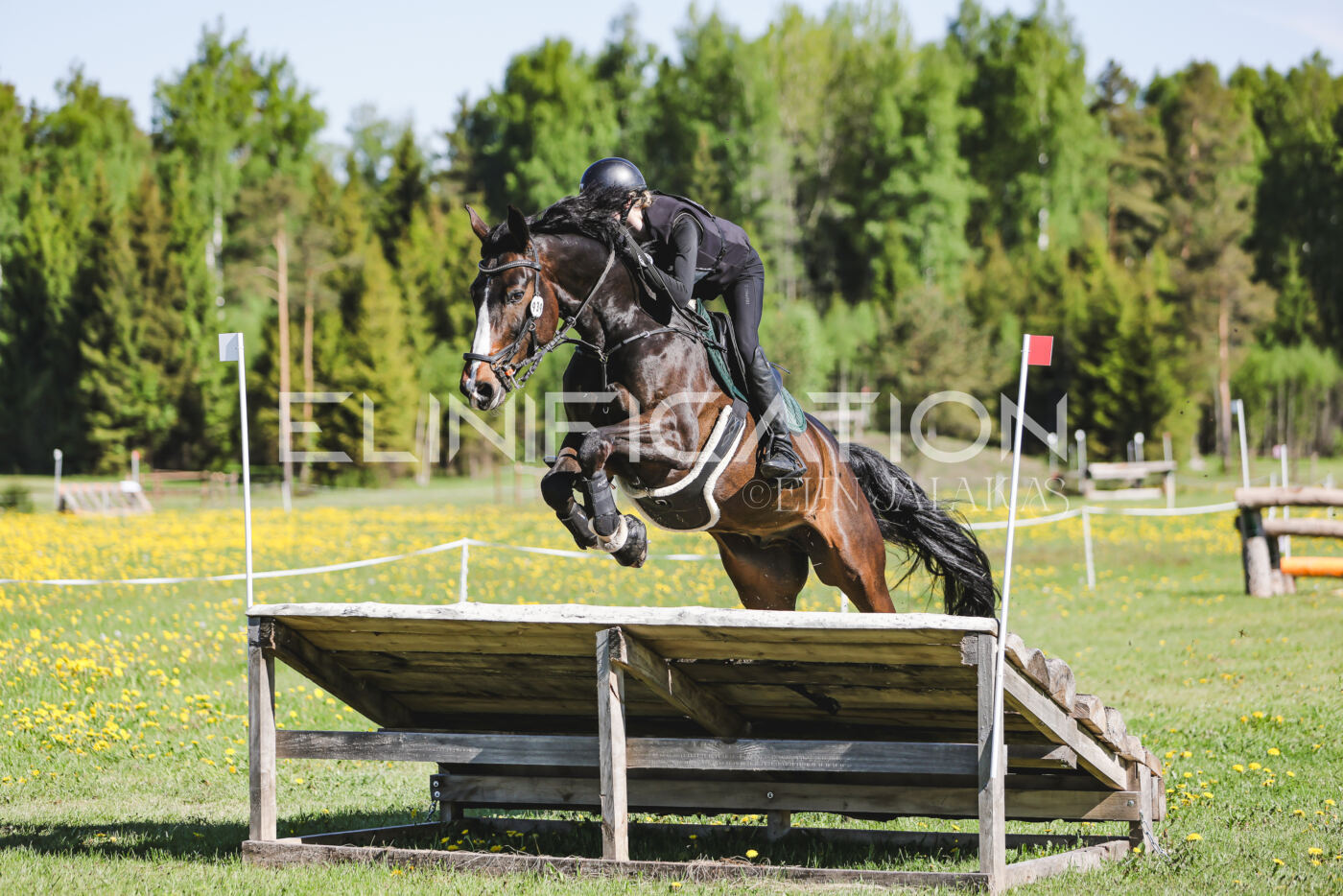 Parnu_CHI_3V_2026_CCN100_XC_110