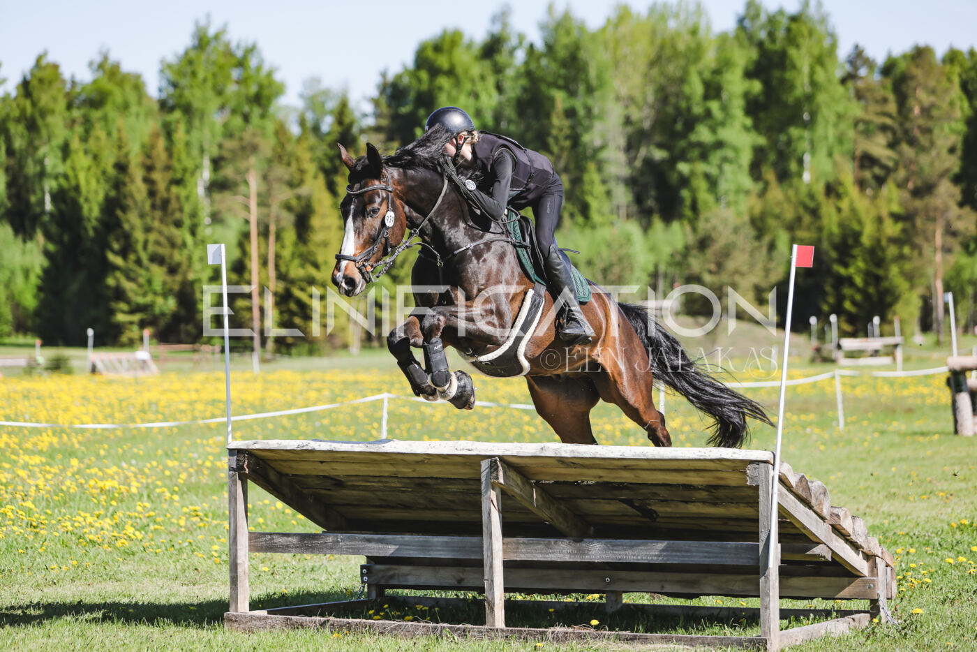 Parnu_CHI_3V_2026_CCN100_XC_111
