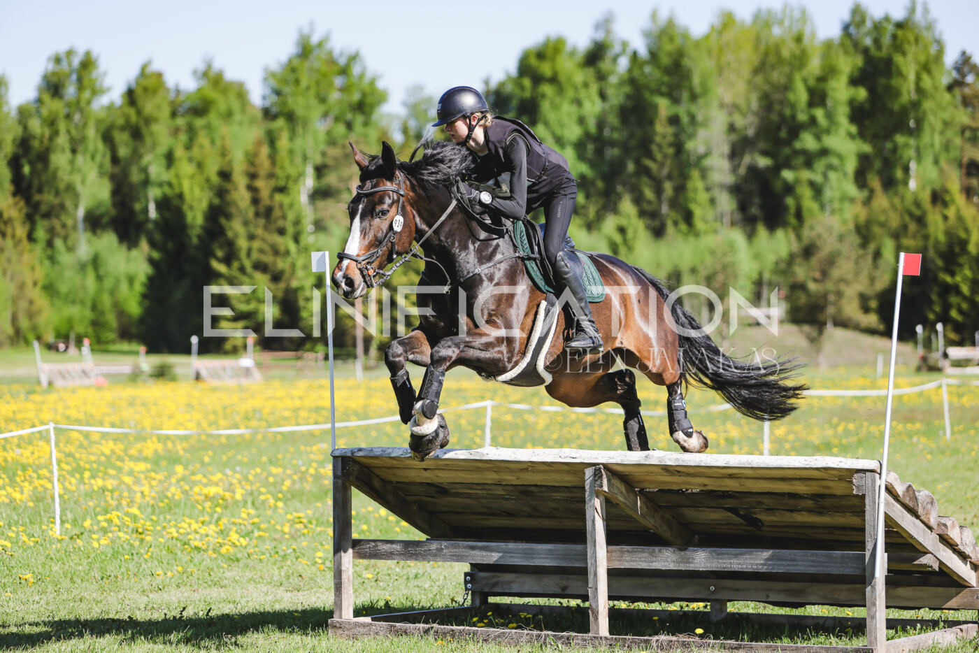 Parnu_CHI_3V_2026_CCN100_XC_113