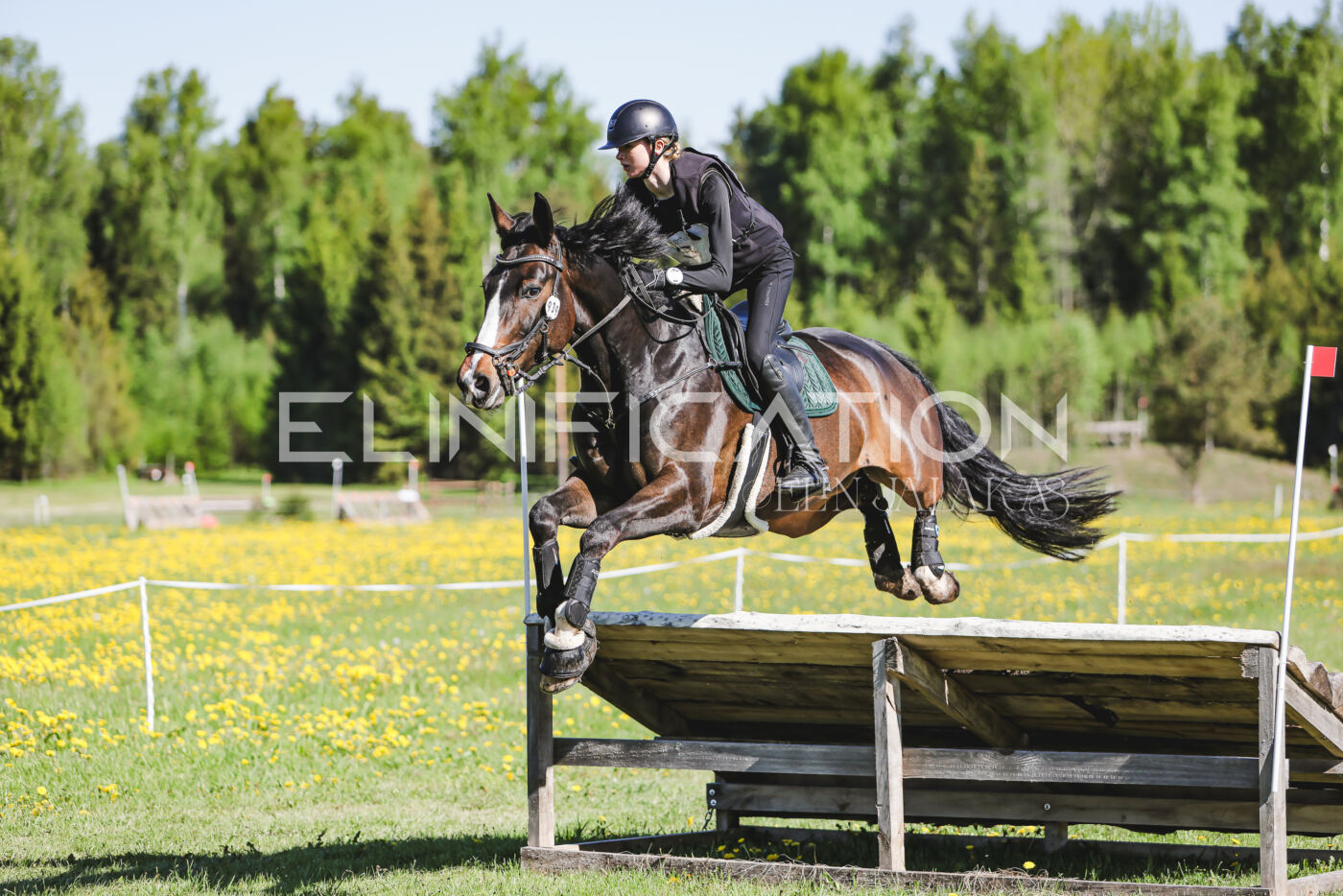 Parnu_CHI_3V_2026_CCN100_XC_114