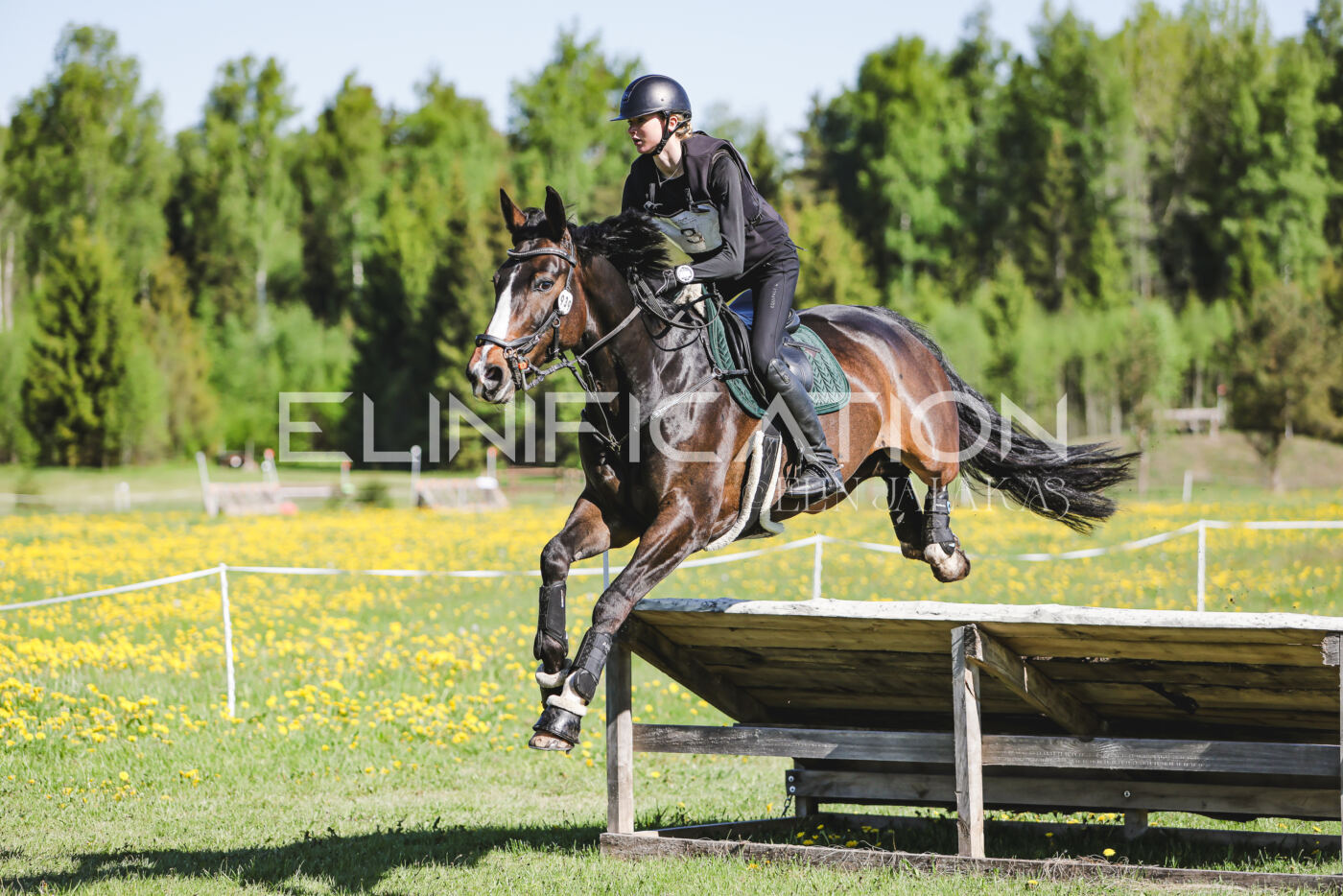 Parnu_CHI_3V_2026_CCN100_XC_115