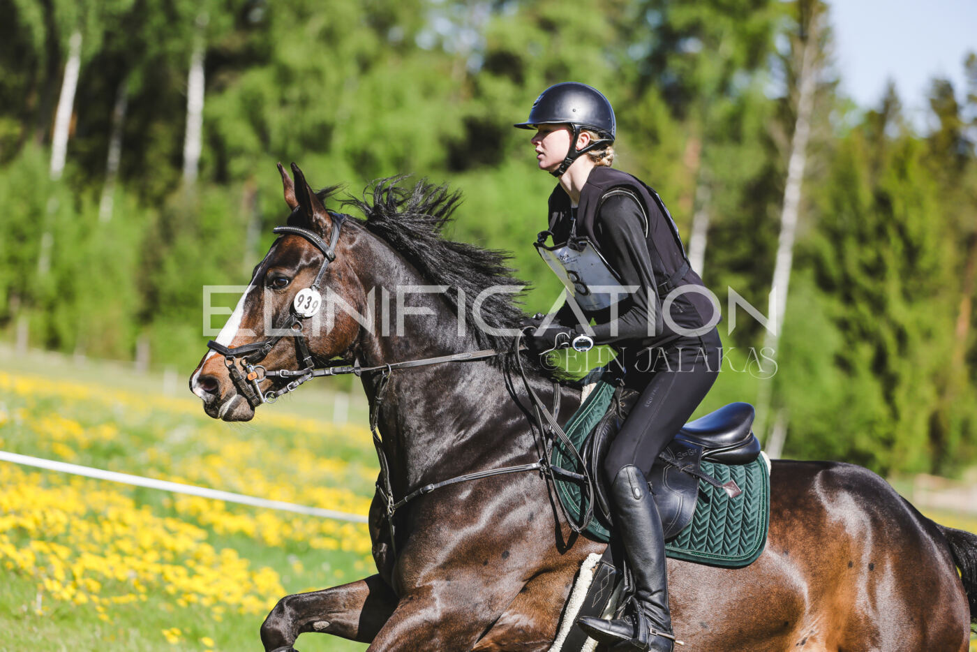 Parnu_CHI_3V_2026_CCN100_XC_117