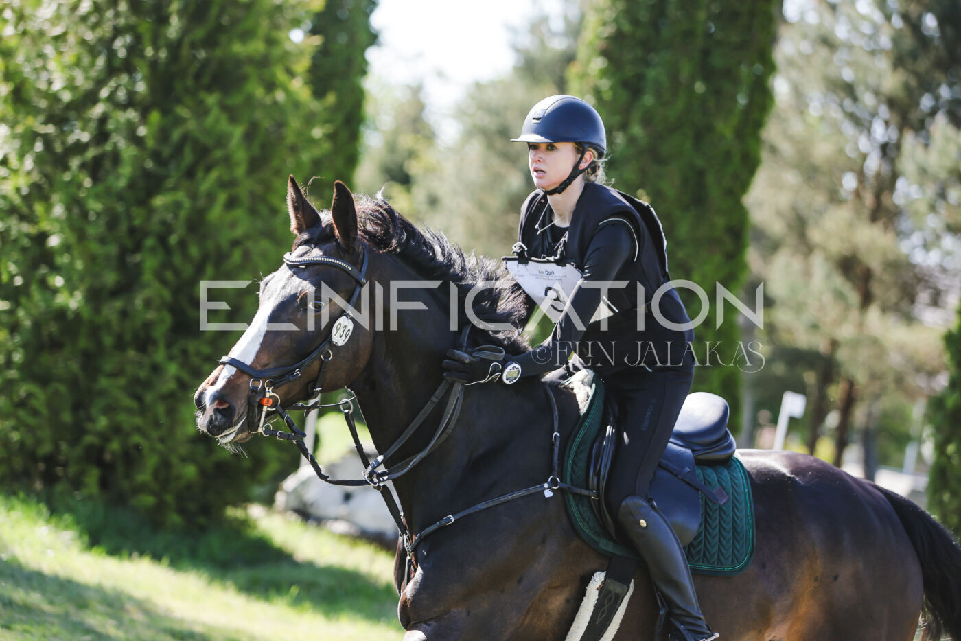 Parnu_CHI_3V_2026_CCN100_XC_124