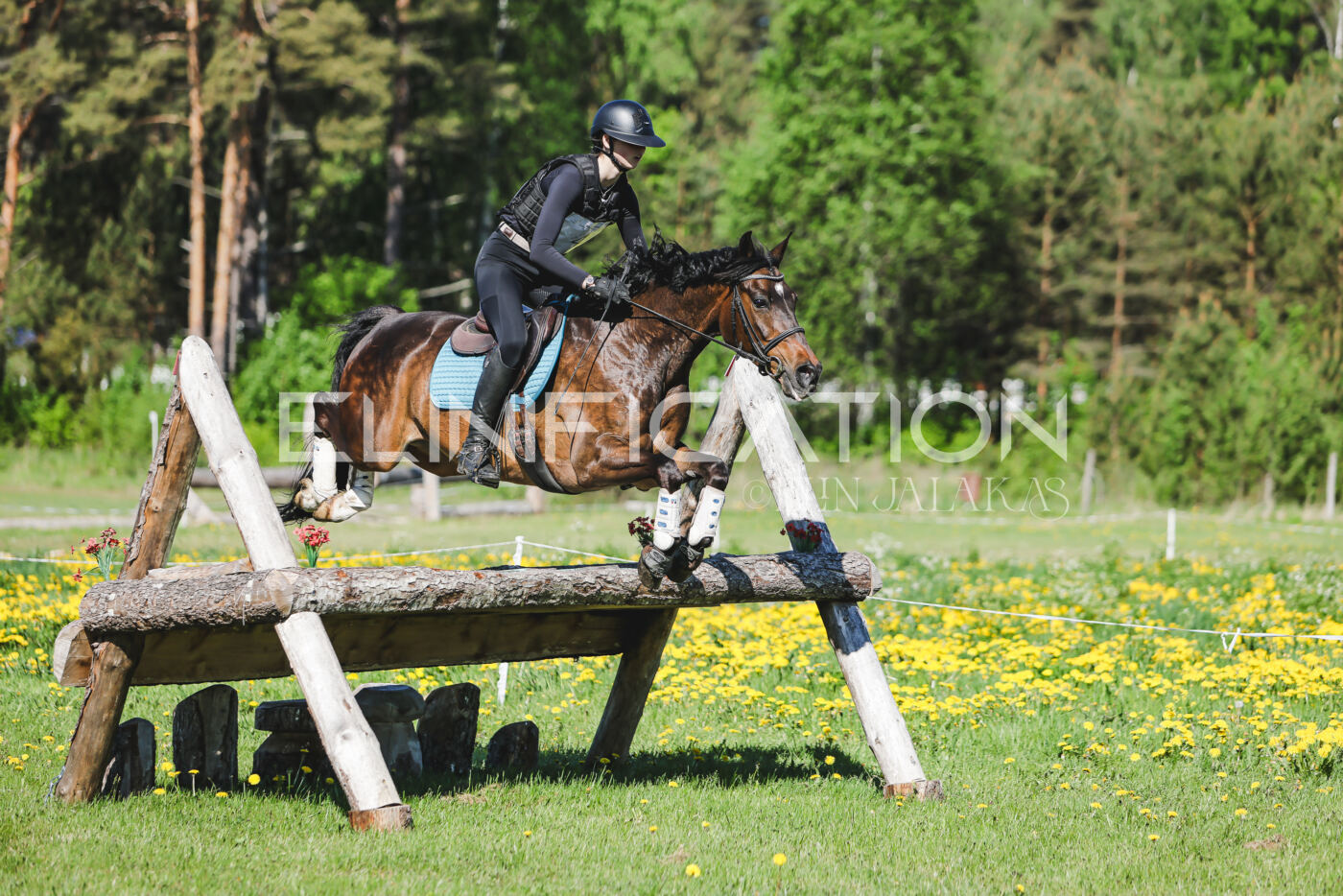 Parnu_CHI_3V_2026_CCN100_XC_130