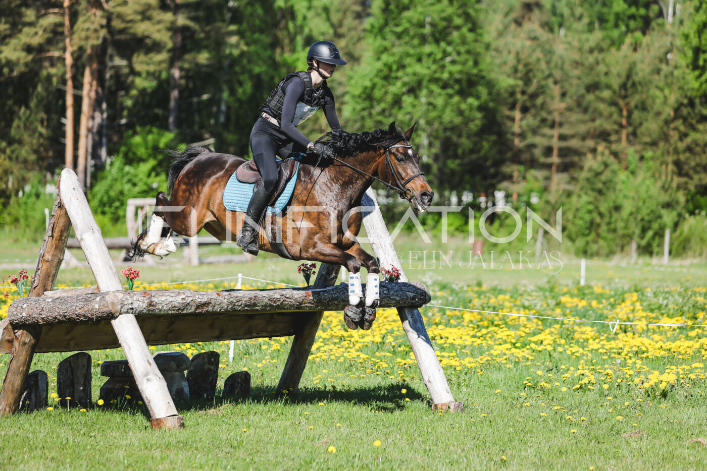 Parnu_CHI_3V_2026_CCN100_XC_131