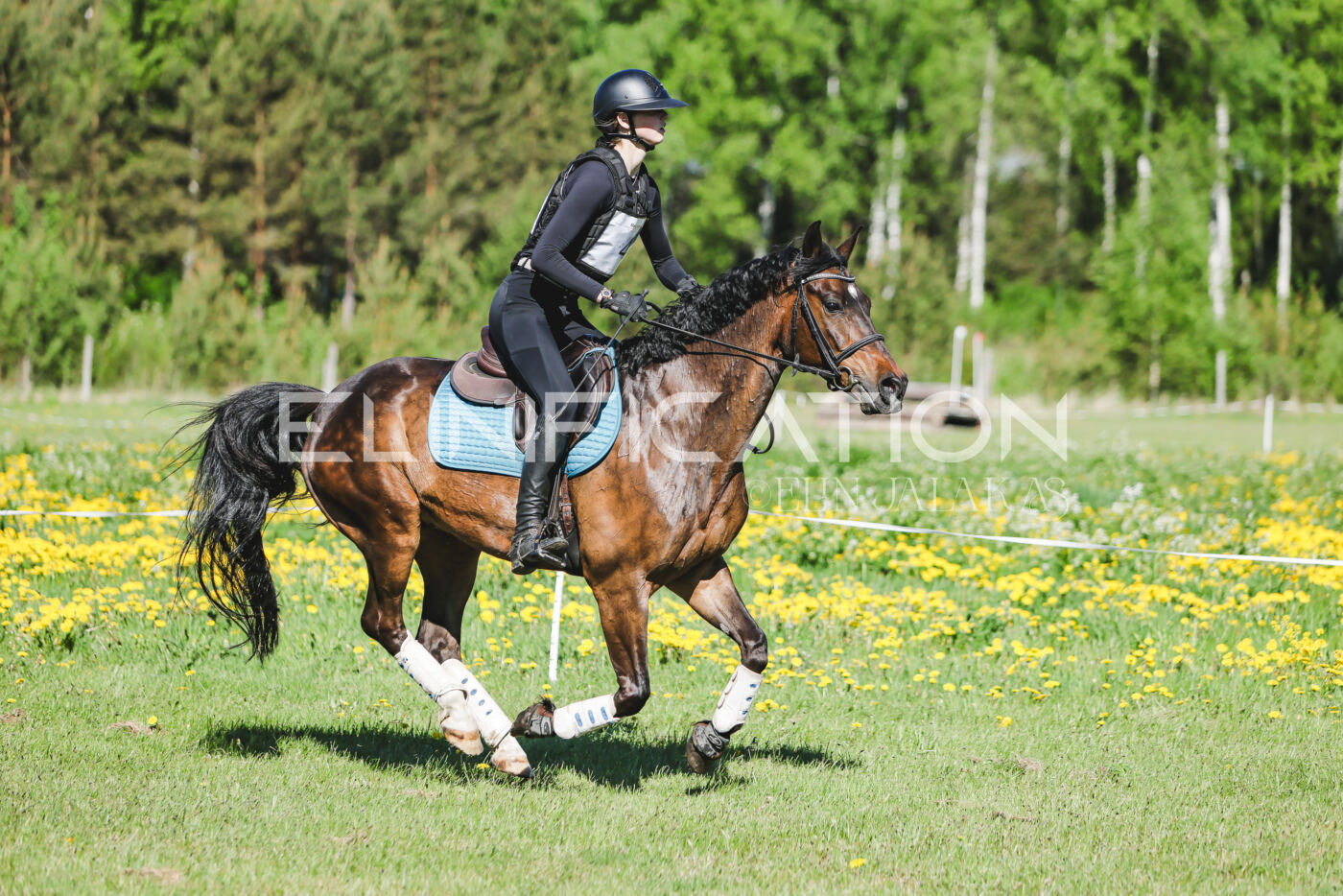 Parnu_CHI_3V_2026_CCN100_XC_134