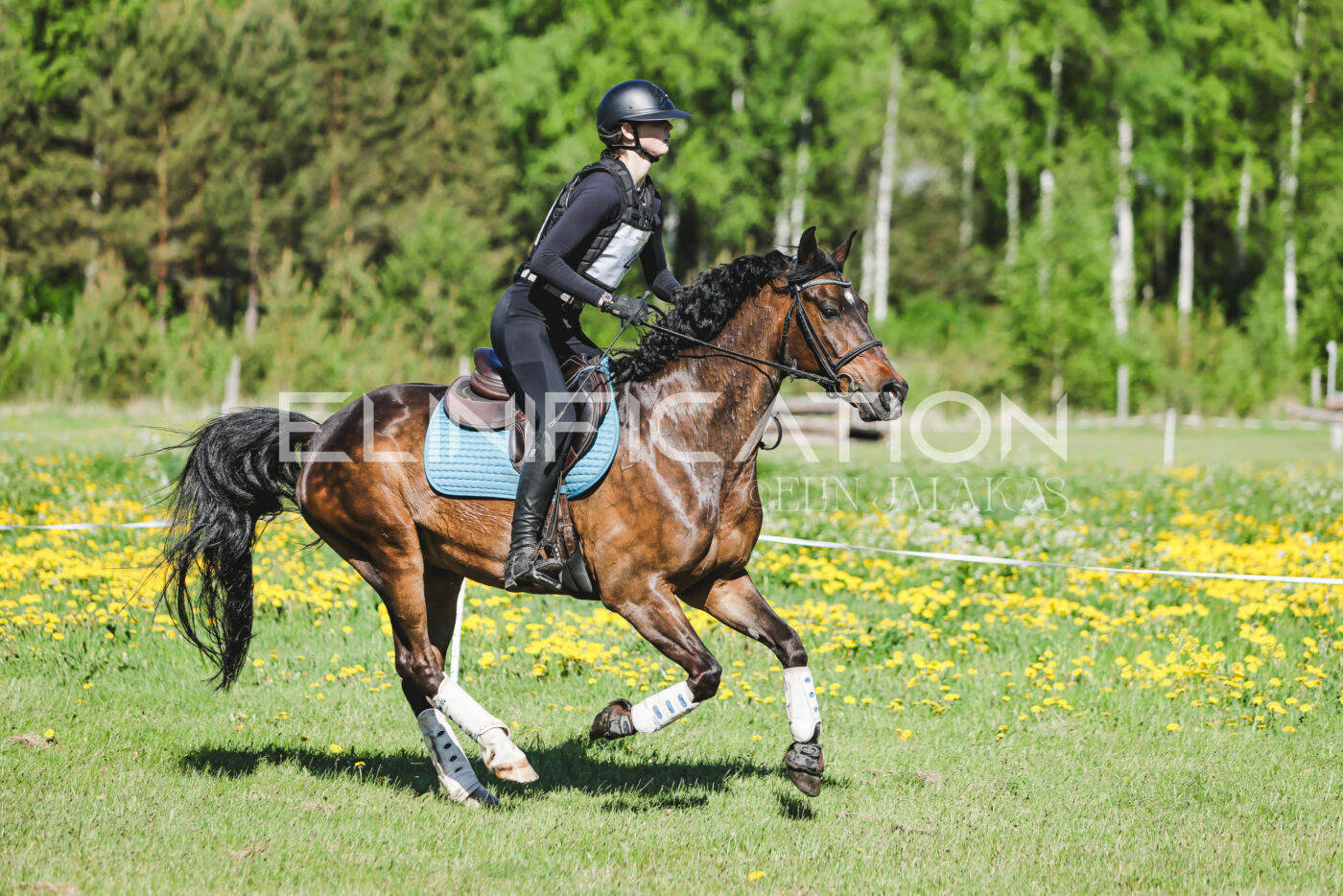 Parnu_CHI_3V_2026_CCN100_XC_135