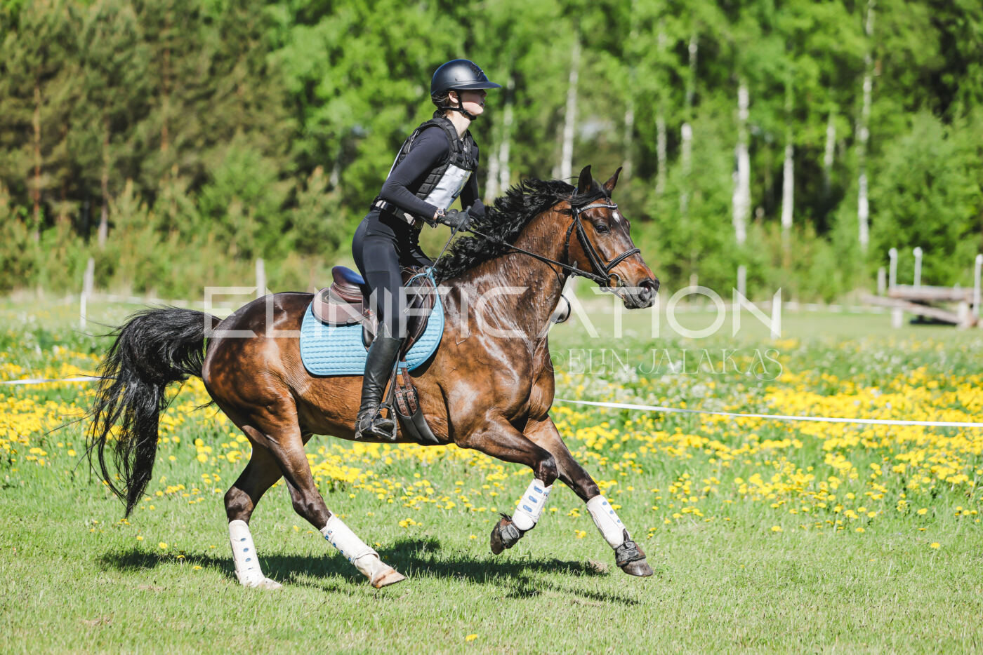 Parnu_CHI_3V_2026_CCN100_XC_136